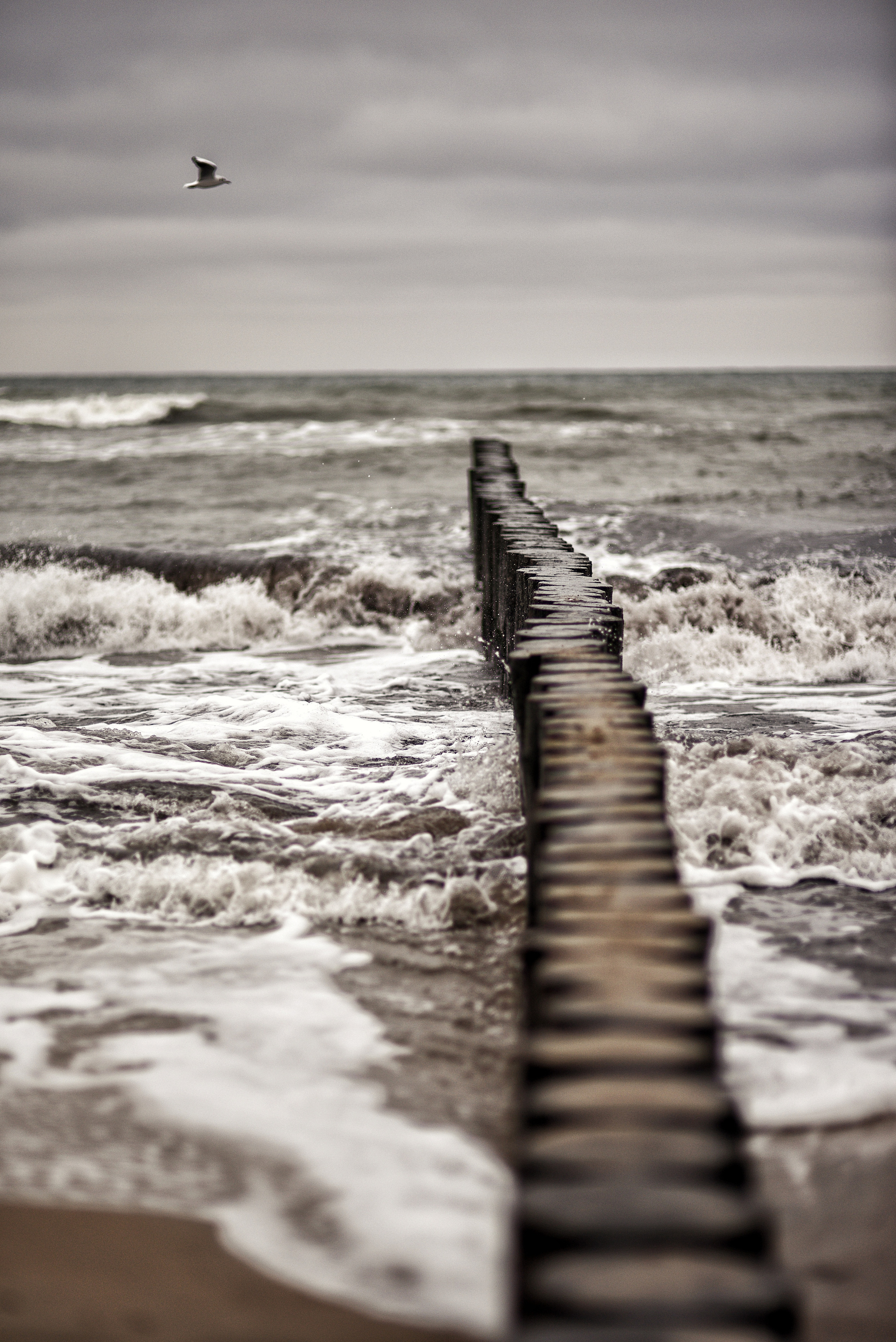 Балтийское море. Зима-весна 2021. То ещё портфолио