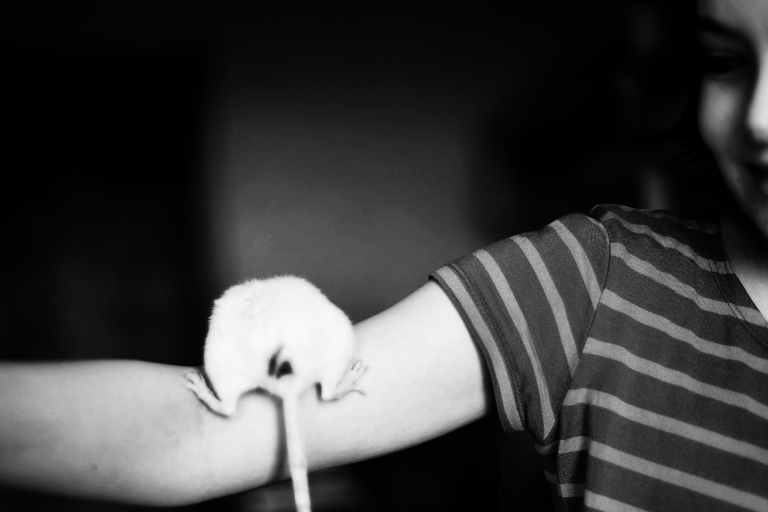 Чёрно-белое детство. Весна 2021. То ещё портфолио