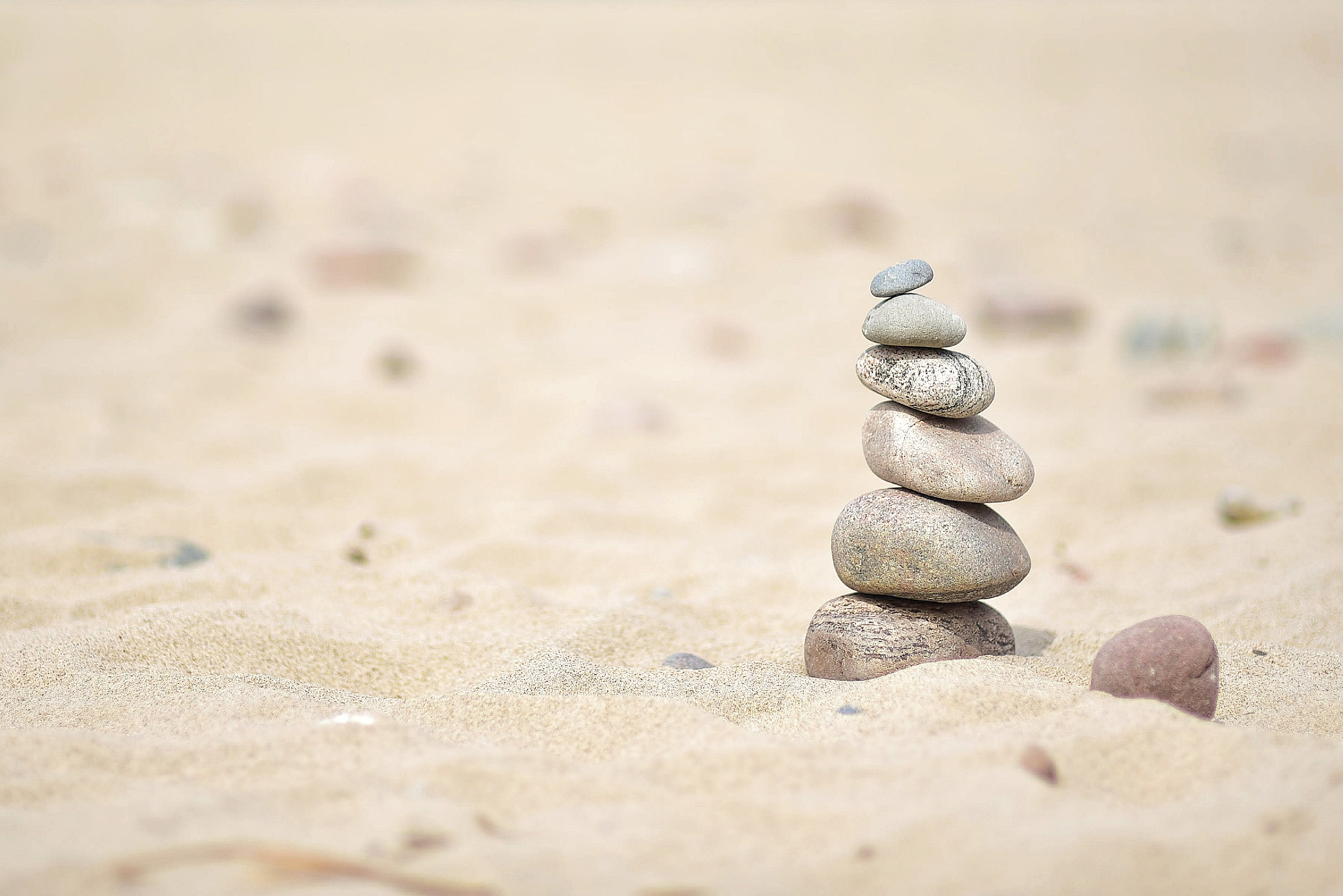 Балтийское море. Зима-весна 2021. То ещё портфолио