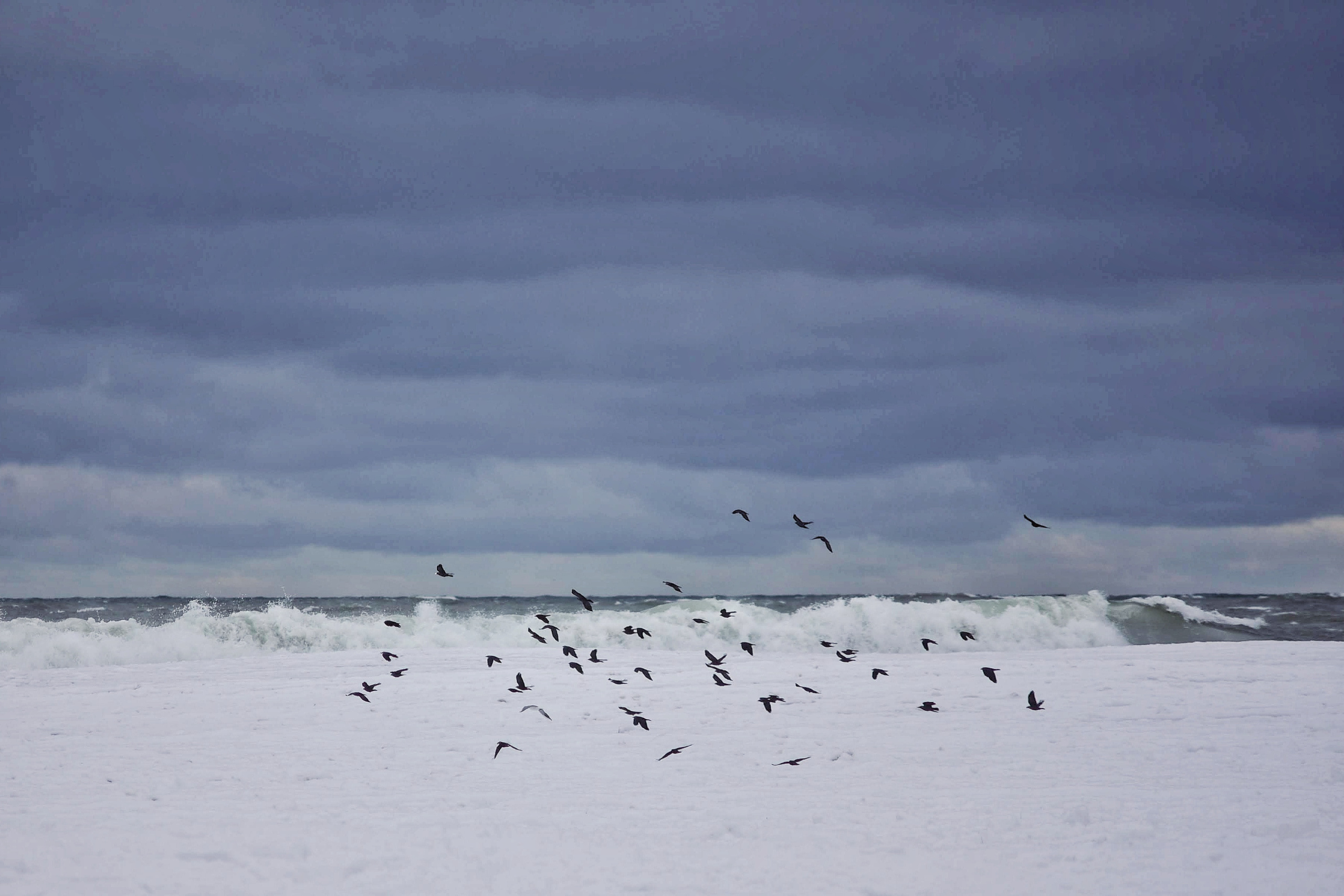 Балтийское море. Зима-весна 2021. То ещё портфолио