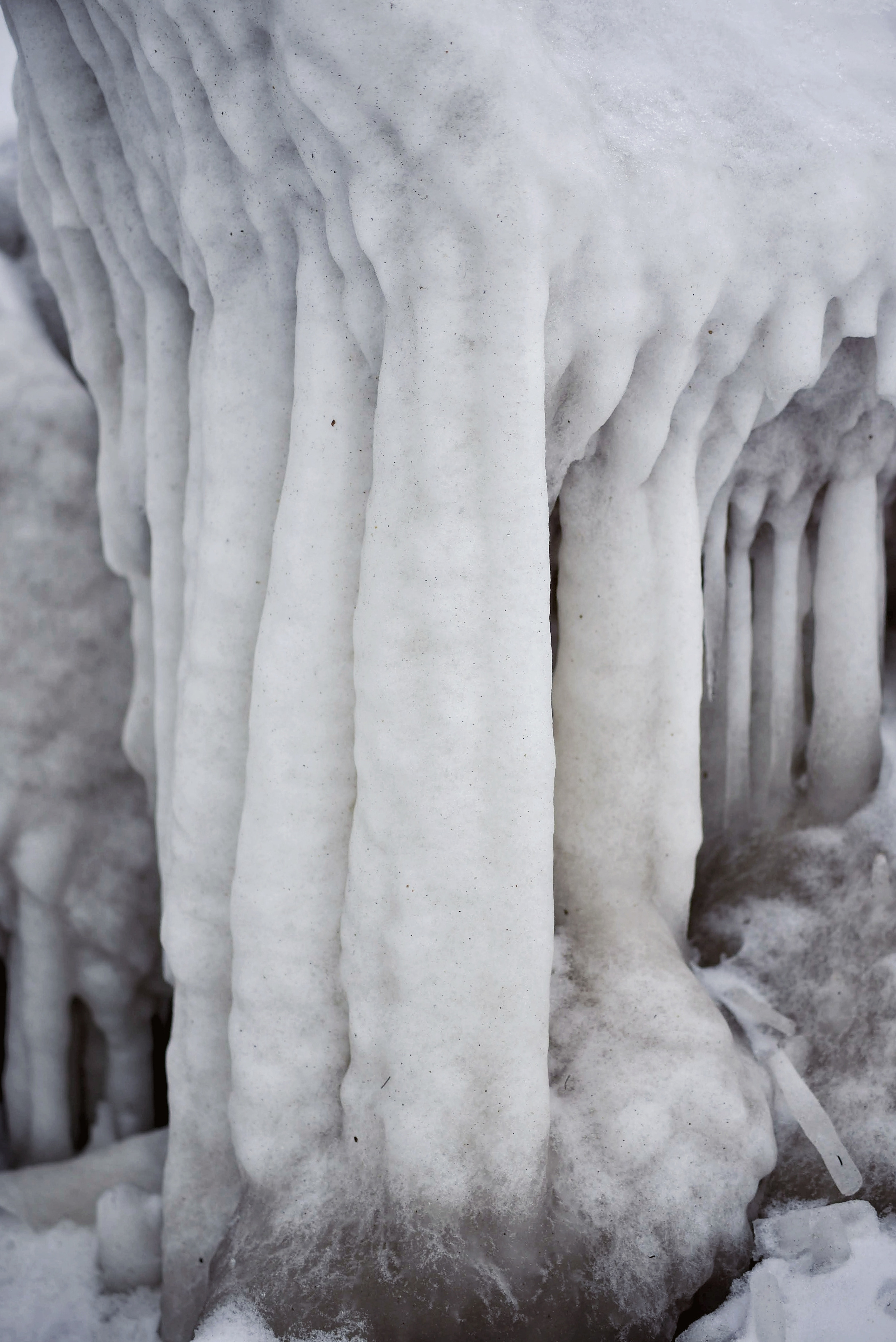 Балтийское море. Зима-весна 2021. То ещё портфолио