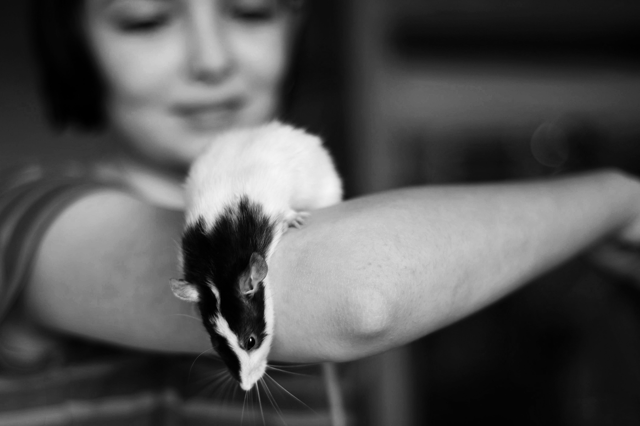 Чёрно-белое детство. Весна 2021. То ещё портфолио