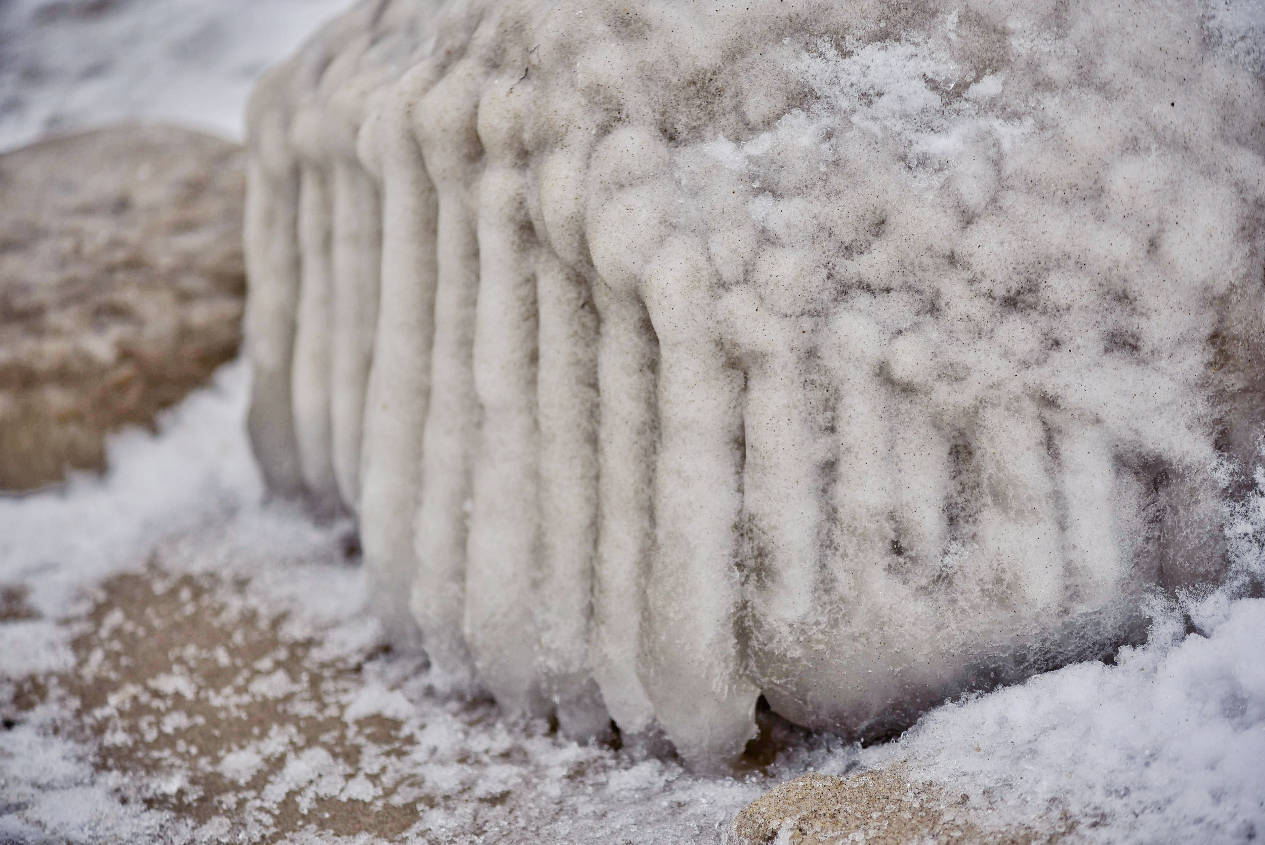 Балтийское море. Зима-весна 2021. То ещё портфолио