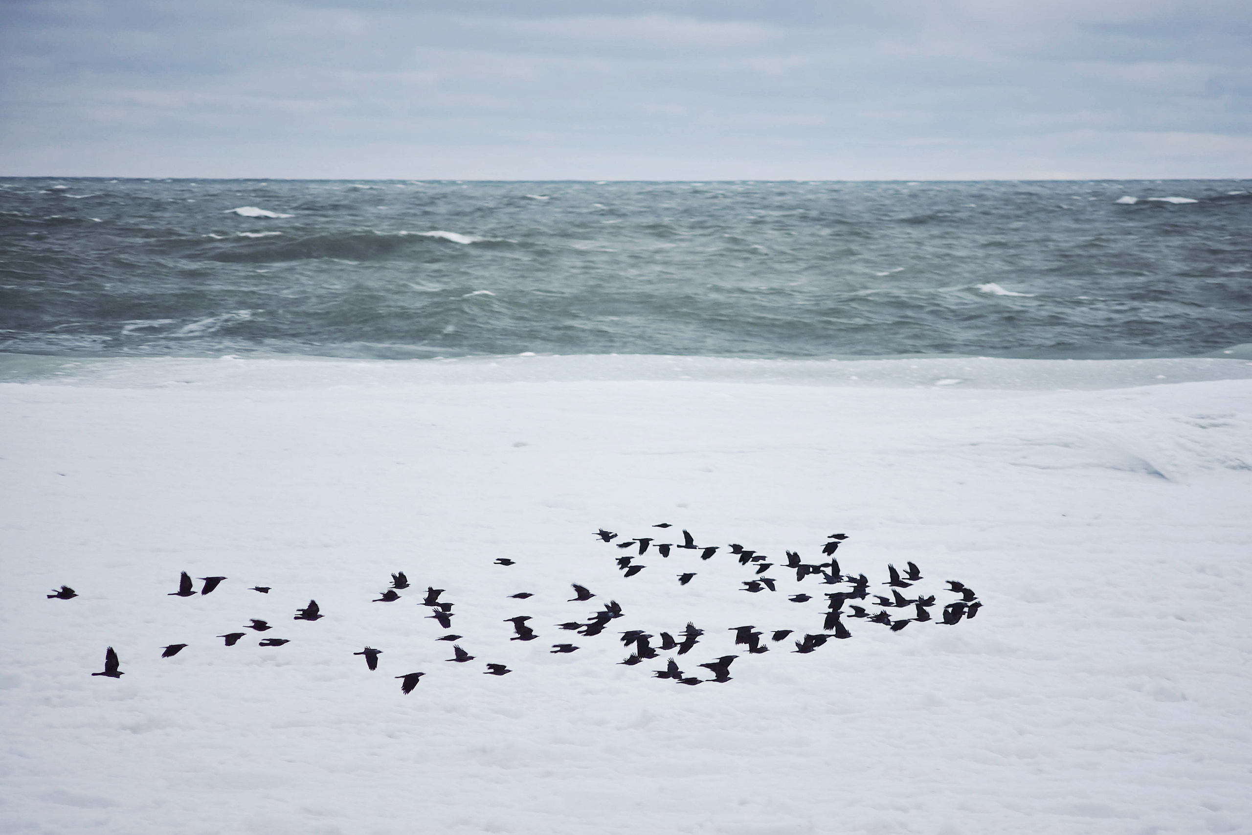 Балтийское море. Зима-весна 2021. То ещё портфолио