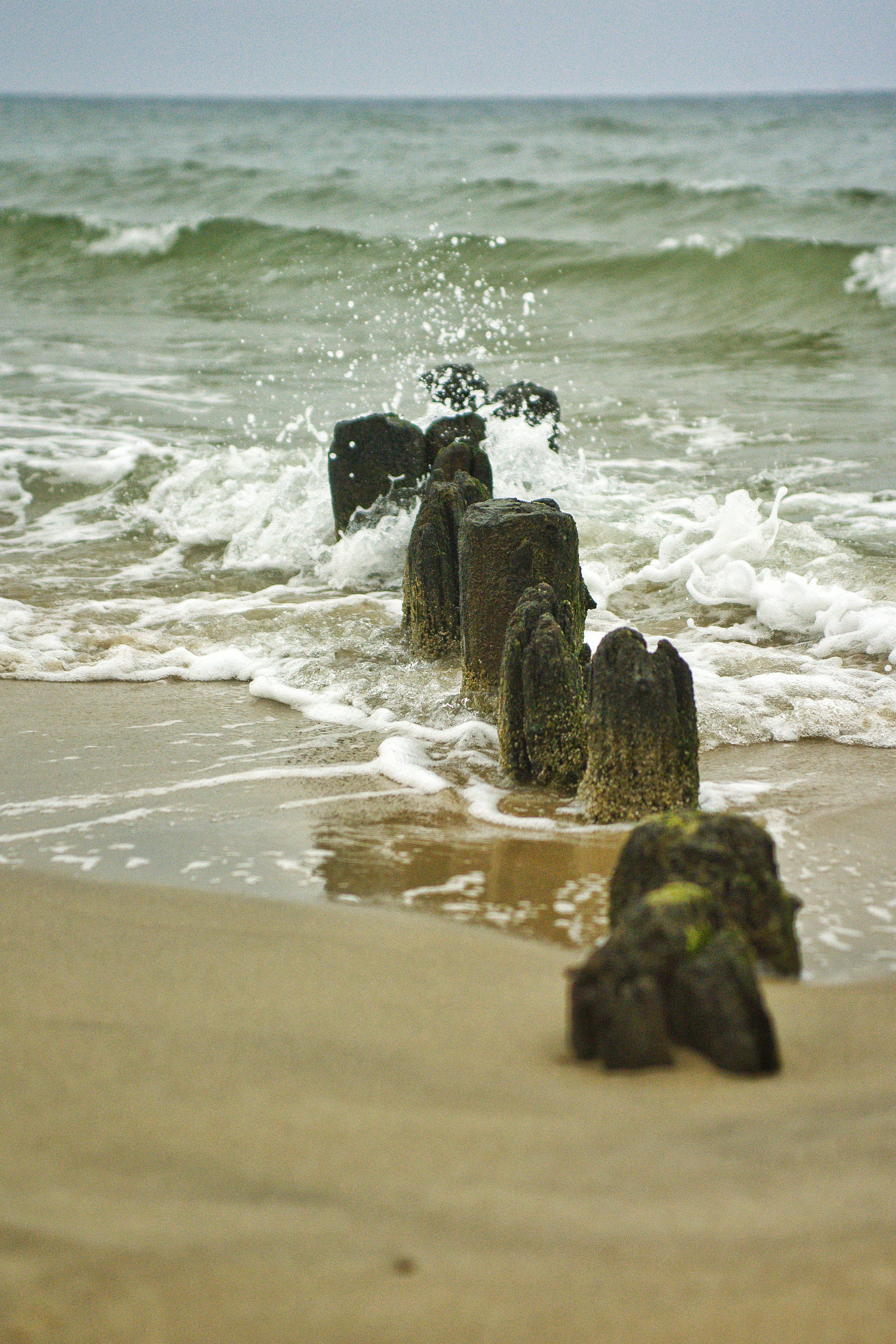 Балтийское море. Зима-весна 2021. То ещё портфолио