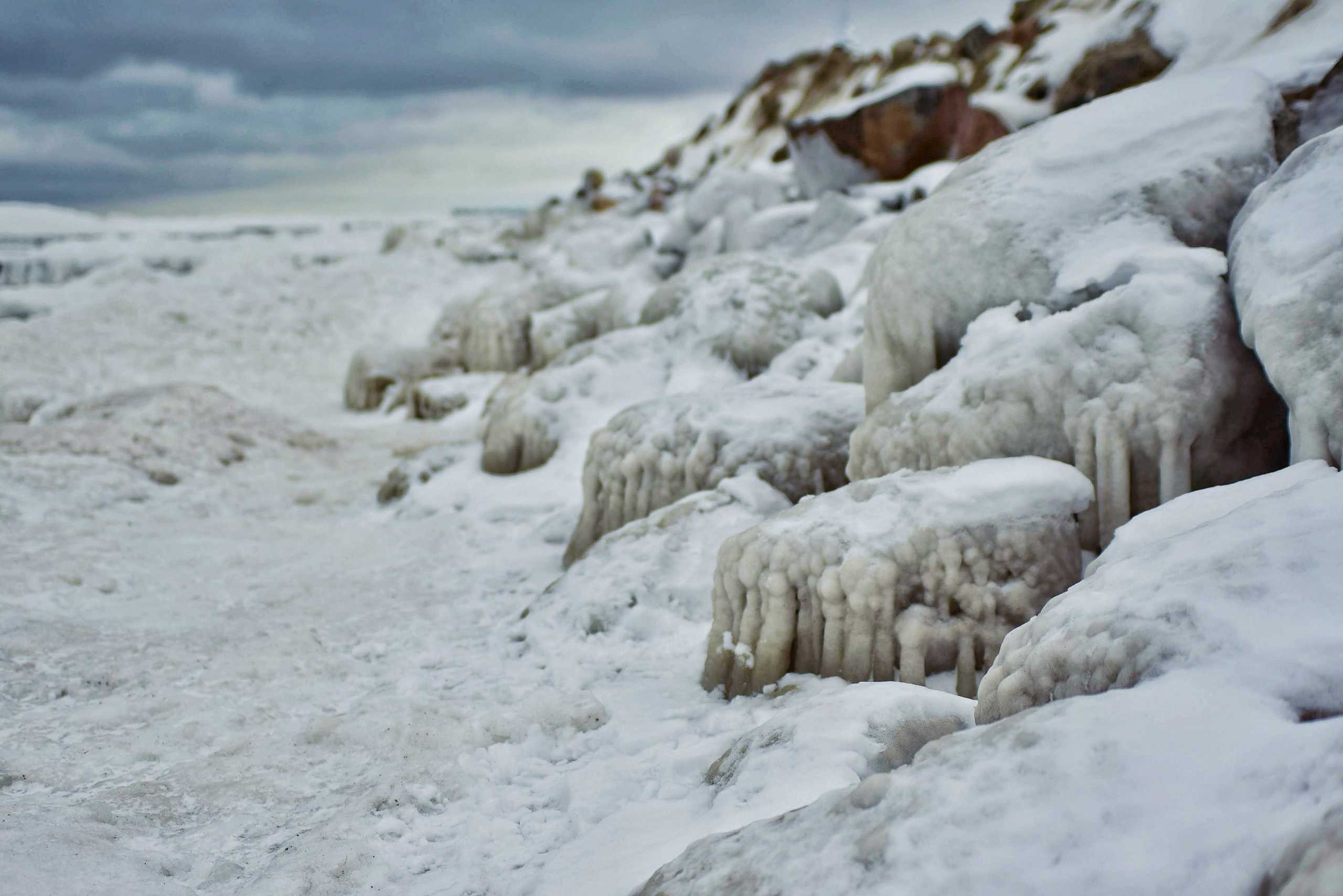 Балтийское море. Зима-весна 2021. То ещё портфолио