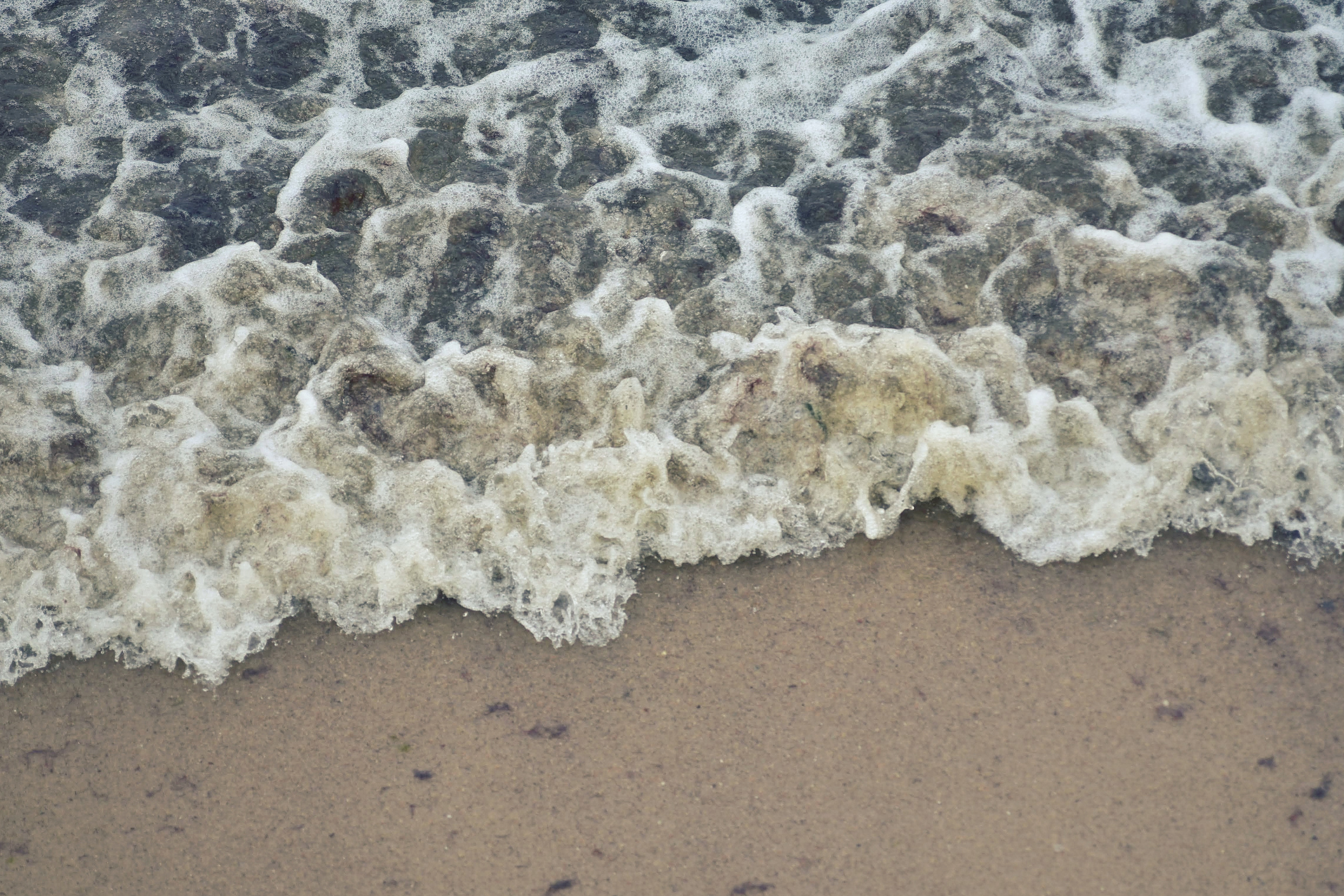 Балтийское море. Зима-весна 2021. То ещё портфолио