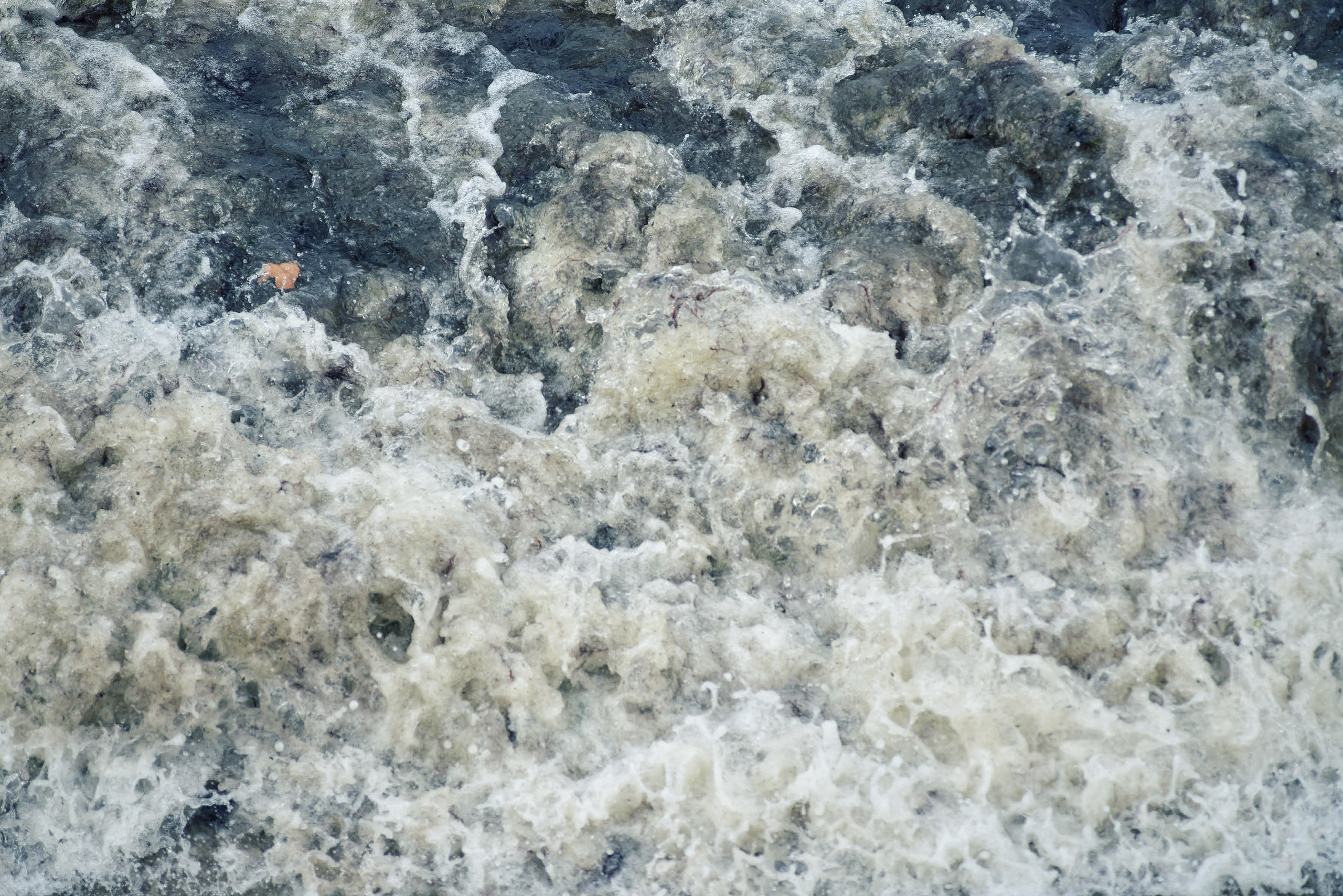 Балтийское море. Зима-весна 2021. То ещё портфолио