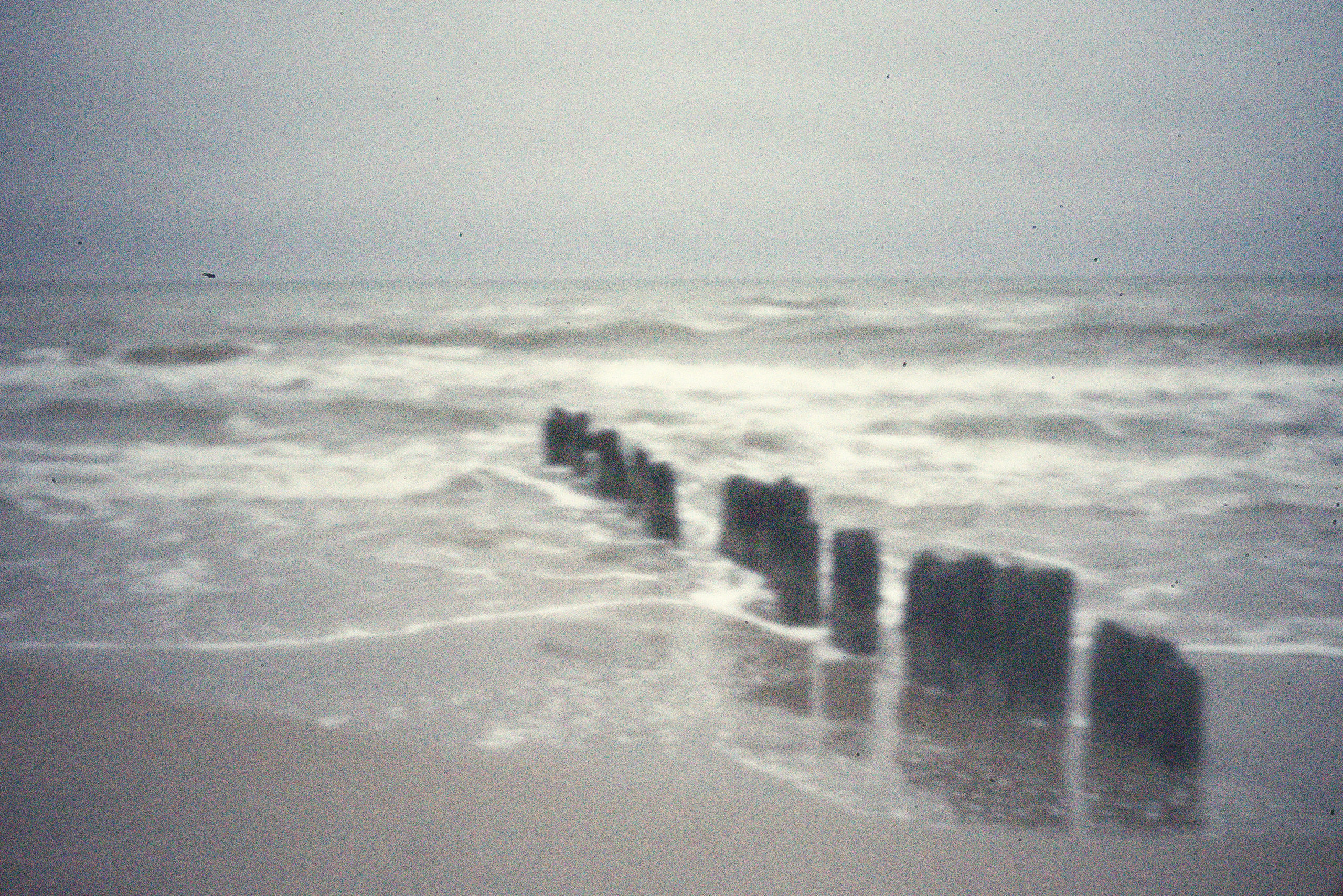 Балтийское море. Зима-весна 2021. То ещё портфолио