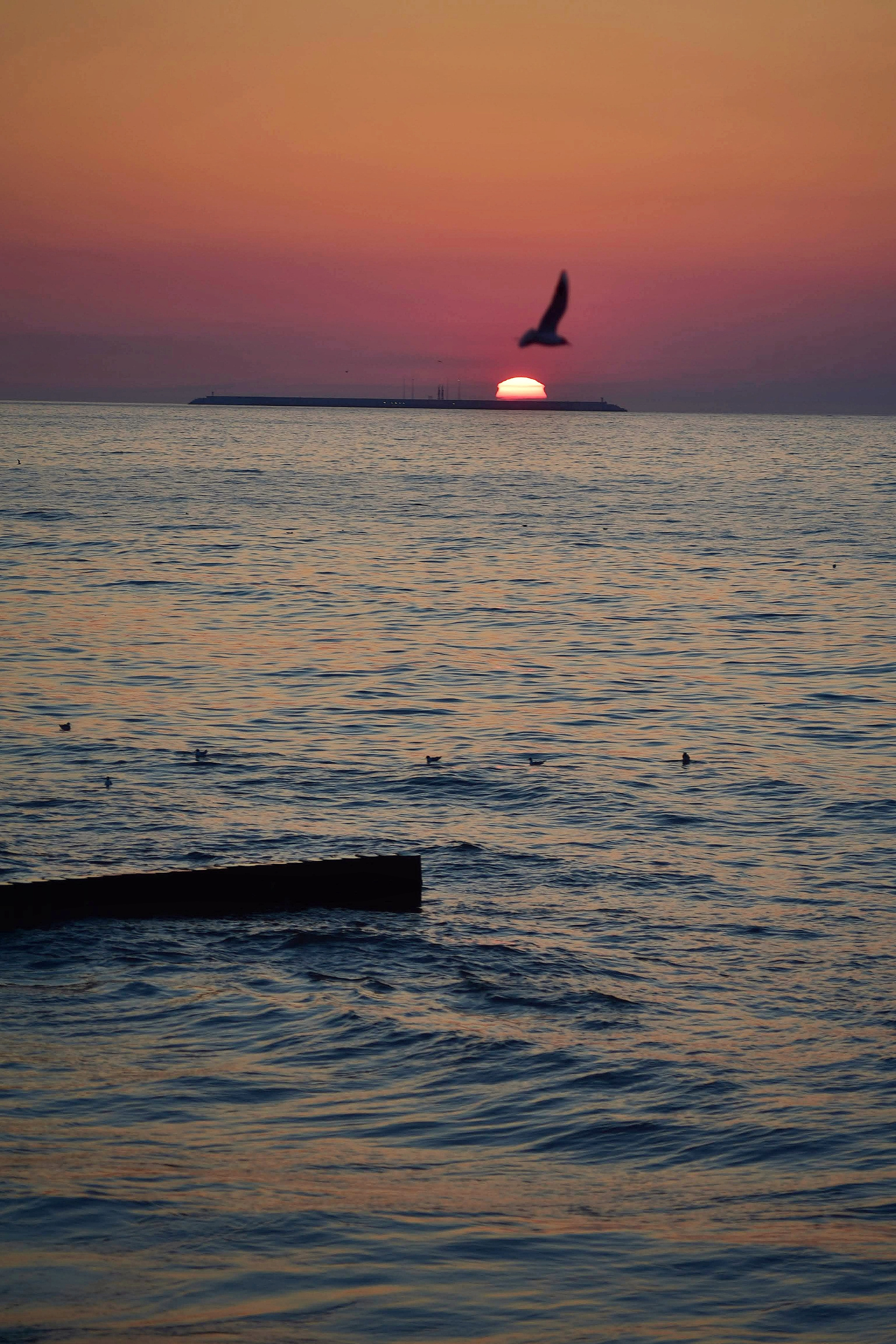 Балтийское море. Зима-весна 2021. То ещё портфолио