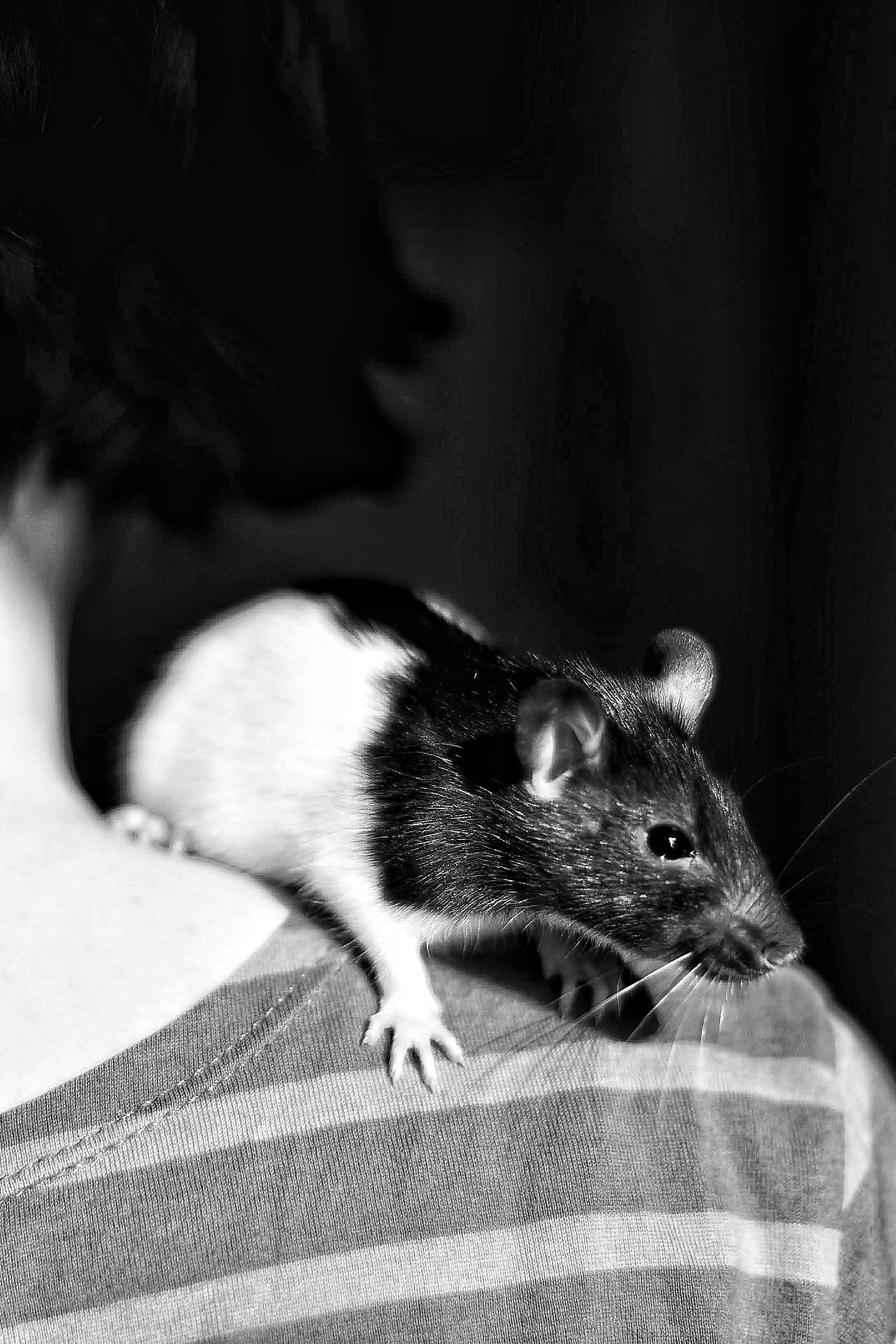 Чёрно-белое детство. Весна 2021. То ещё портфолио