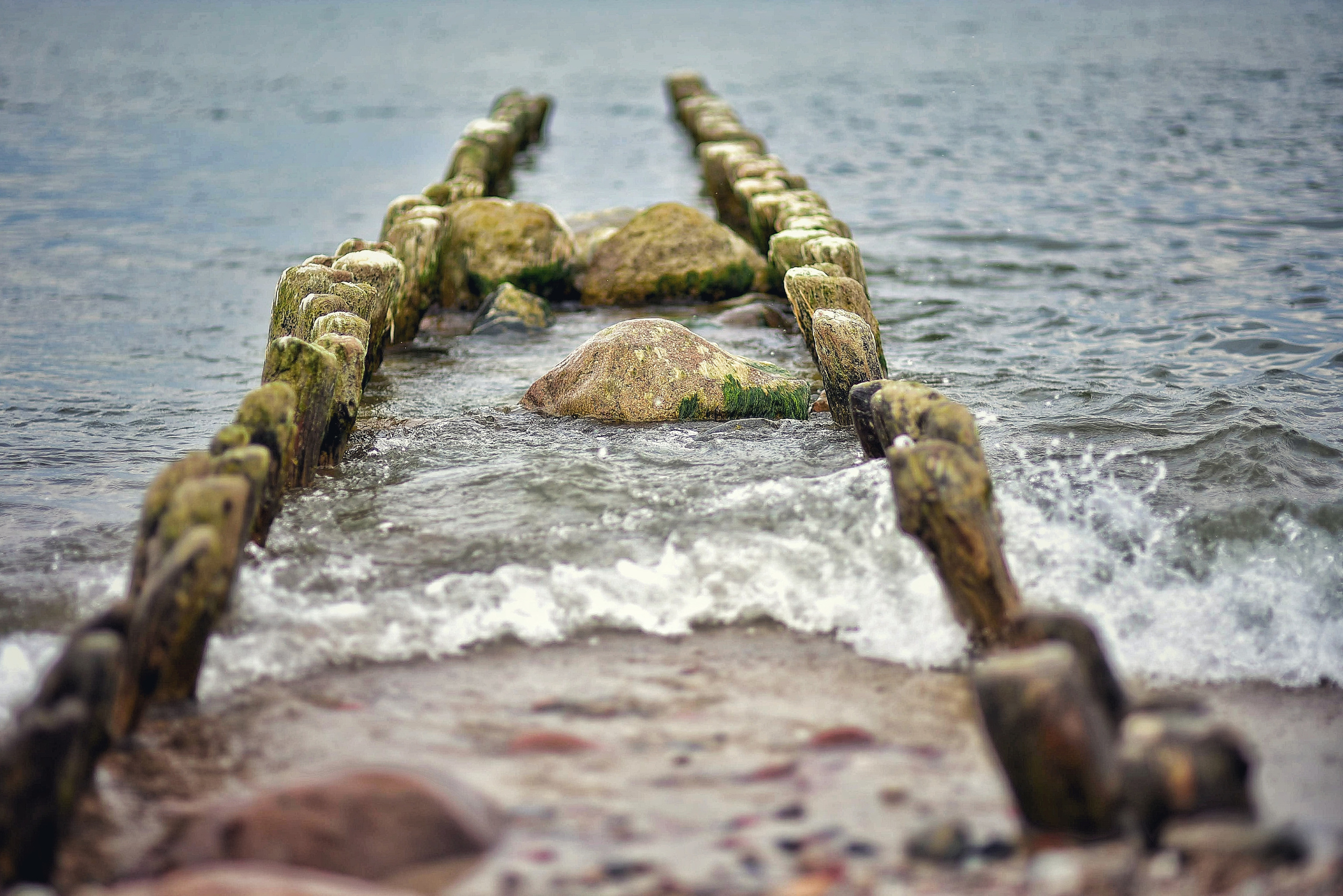 Балтийское море. Зима-весна 2021. То ещё портфолио