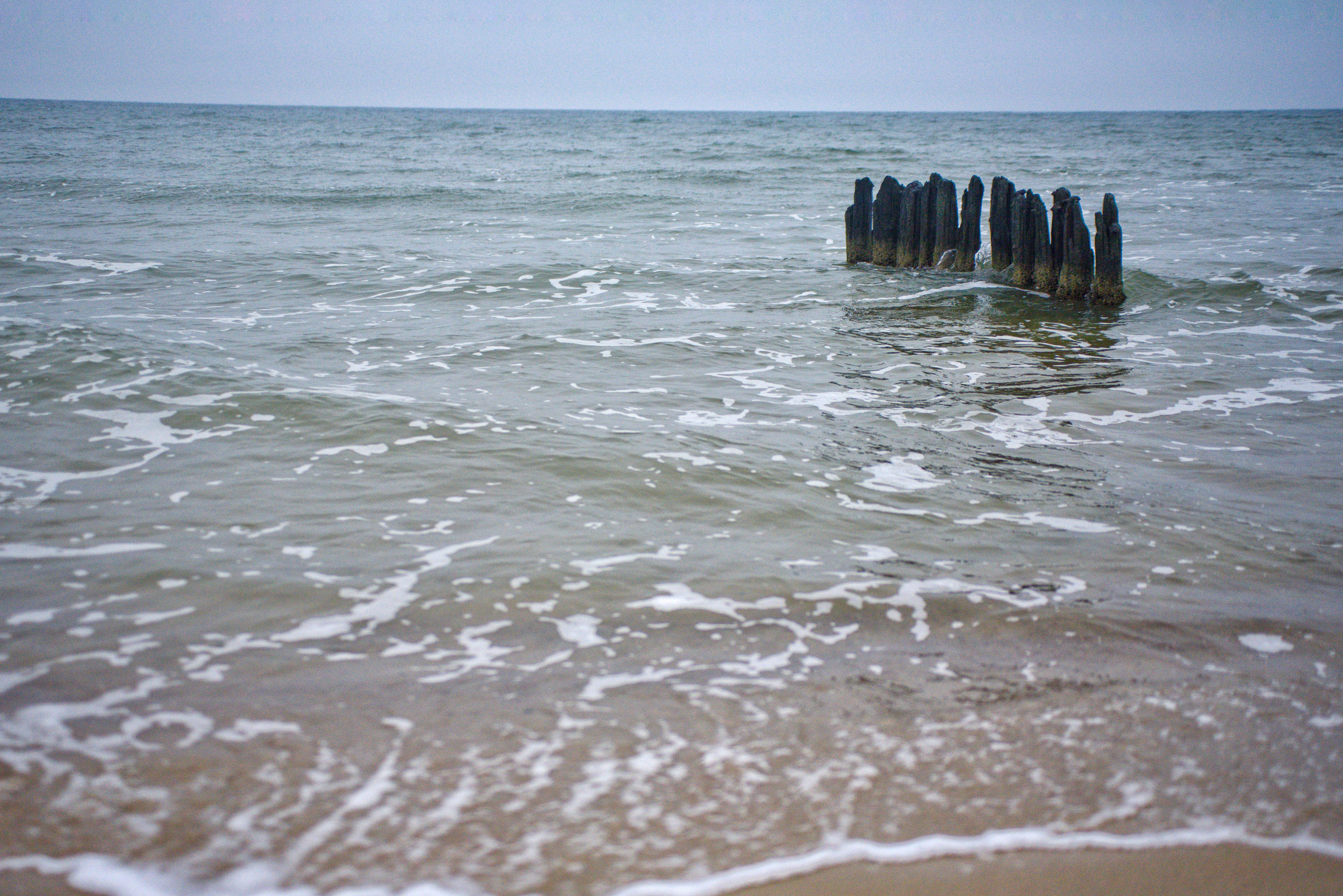 Балтийское море. Зима-весна 2021. То ещё портфолио