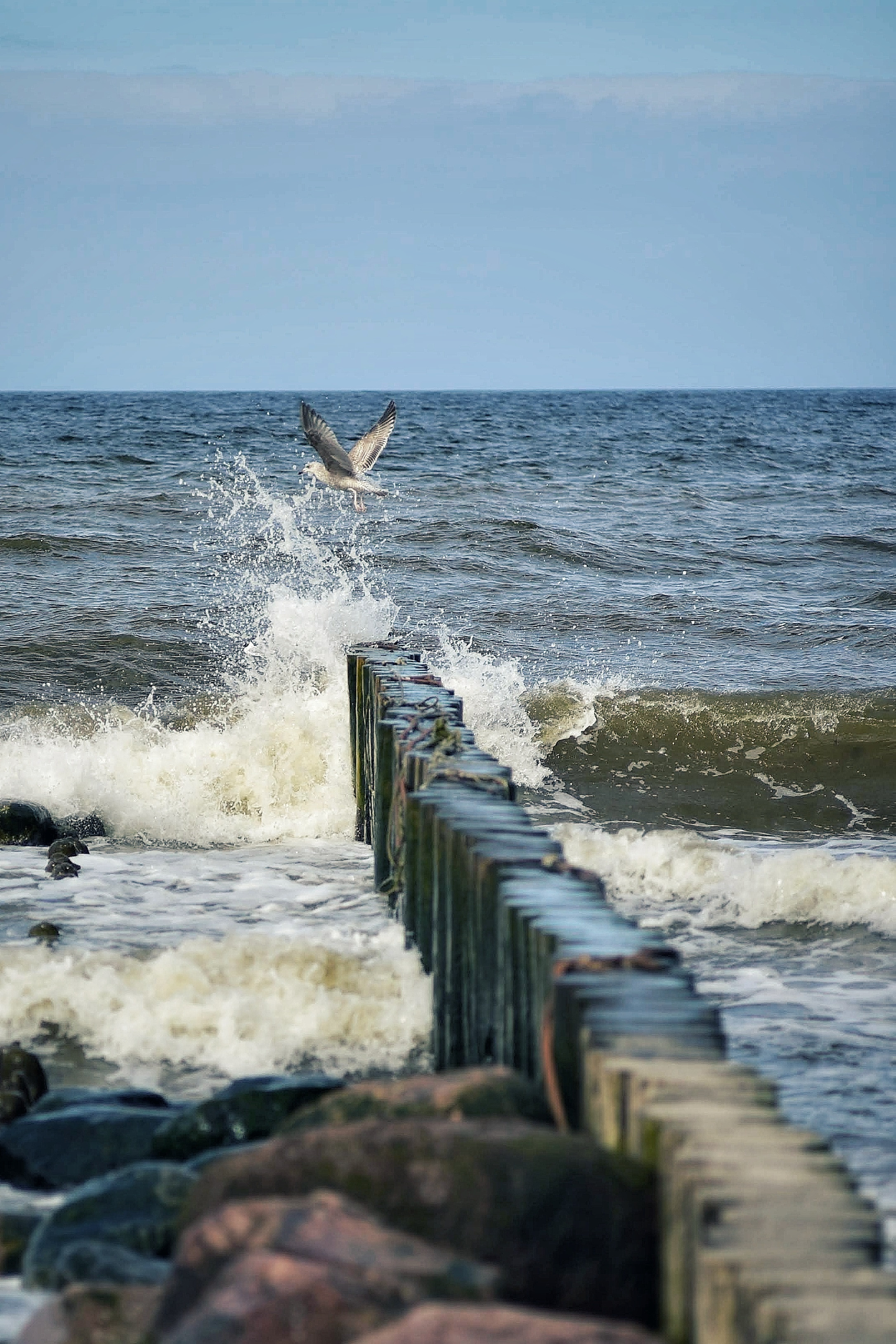 Балтийское море. Зима-весна 2021. То ещё портфолио