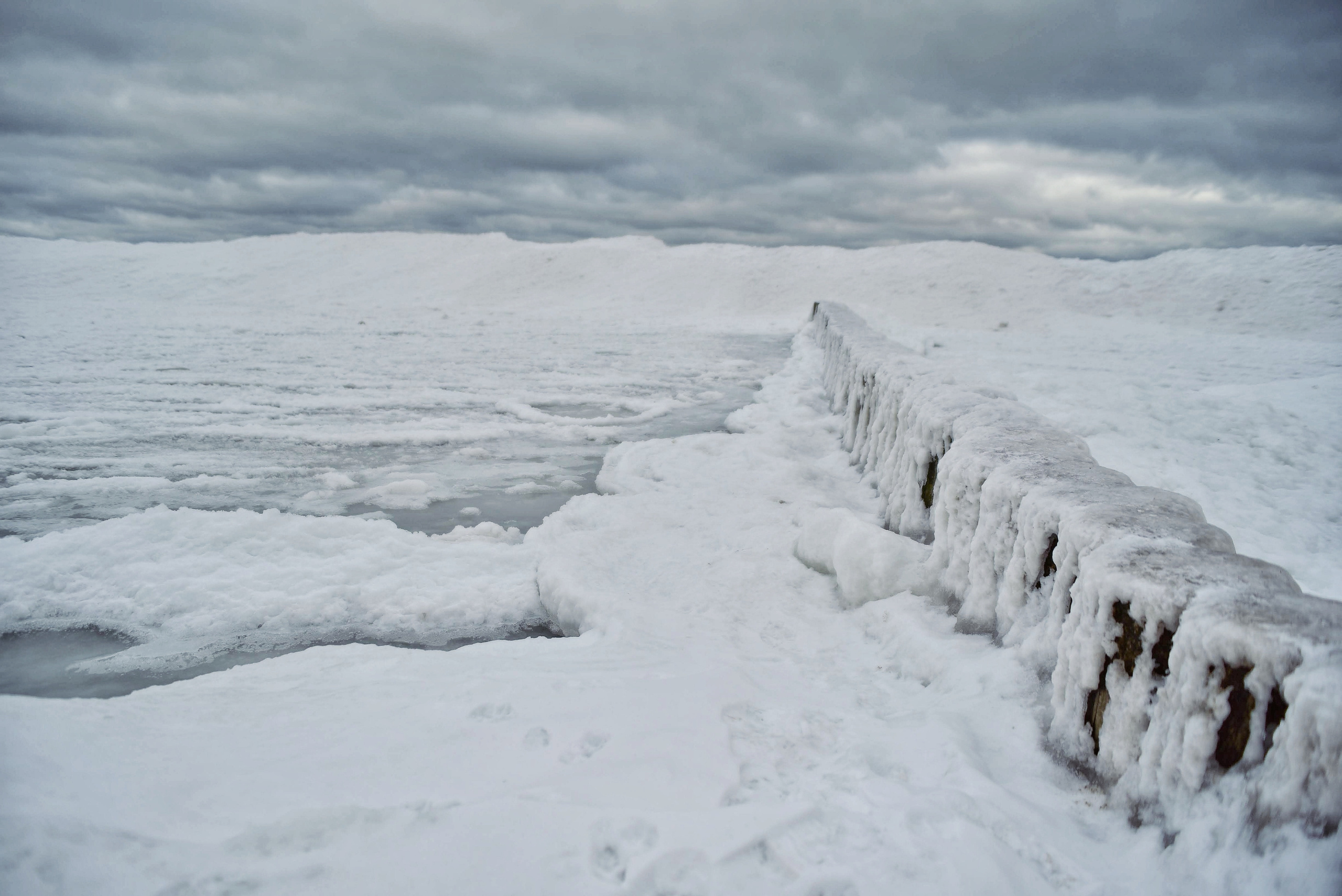 Балтийское море. Зима-весна 2021. То ещё портфолио