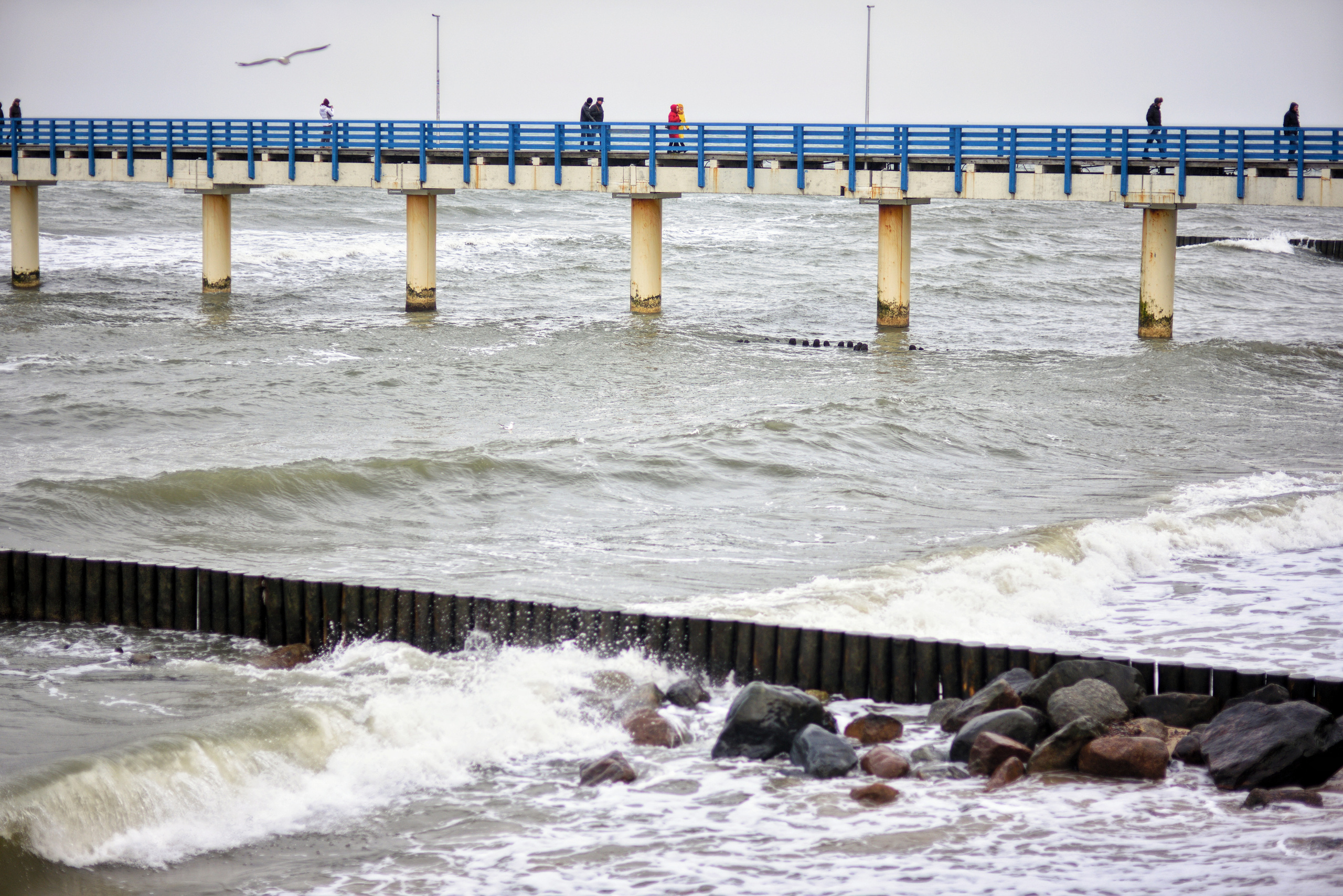 Балтийское море. Зима-весна 2021. То ещё портфолио