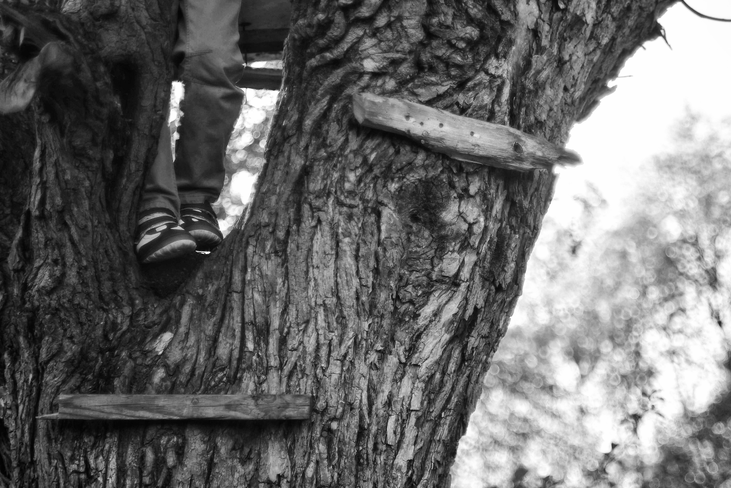 Чёрно-белое детство. Весна 2021. То ещё портфолио