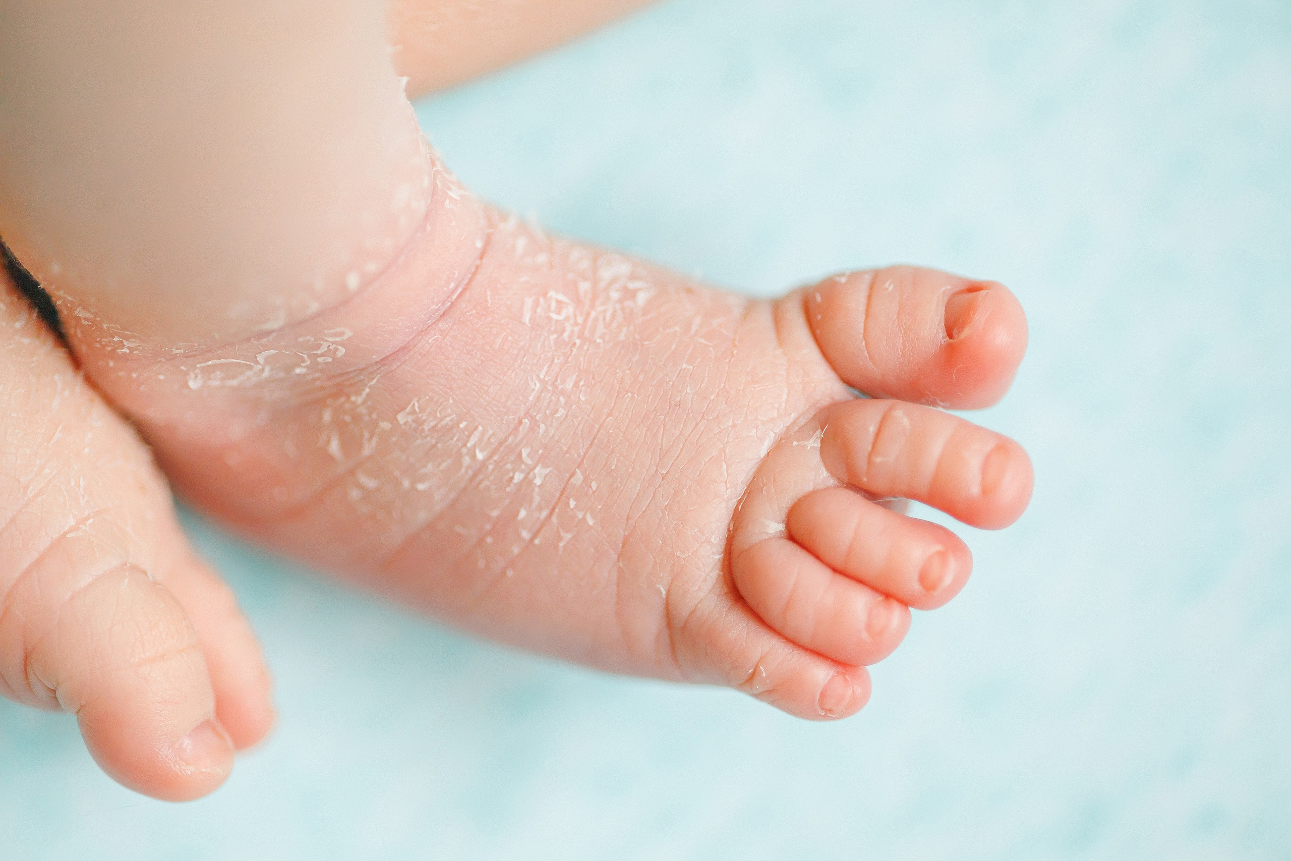 Дима, 10 дней. Фотограф новорождённых в Йошкар-Оле Ильмира Сидоркина