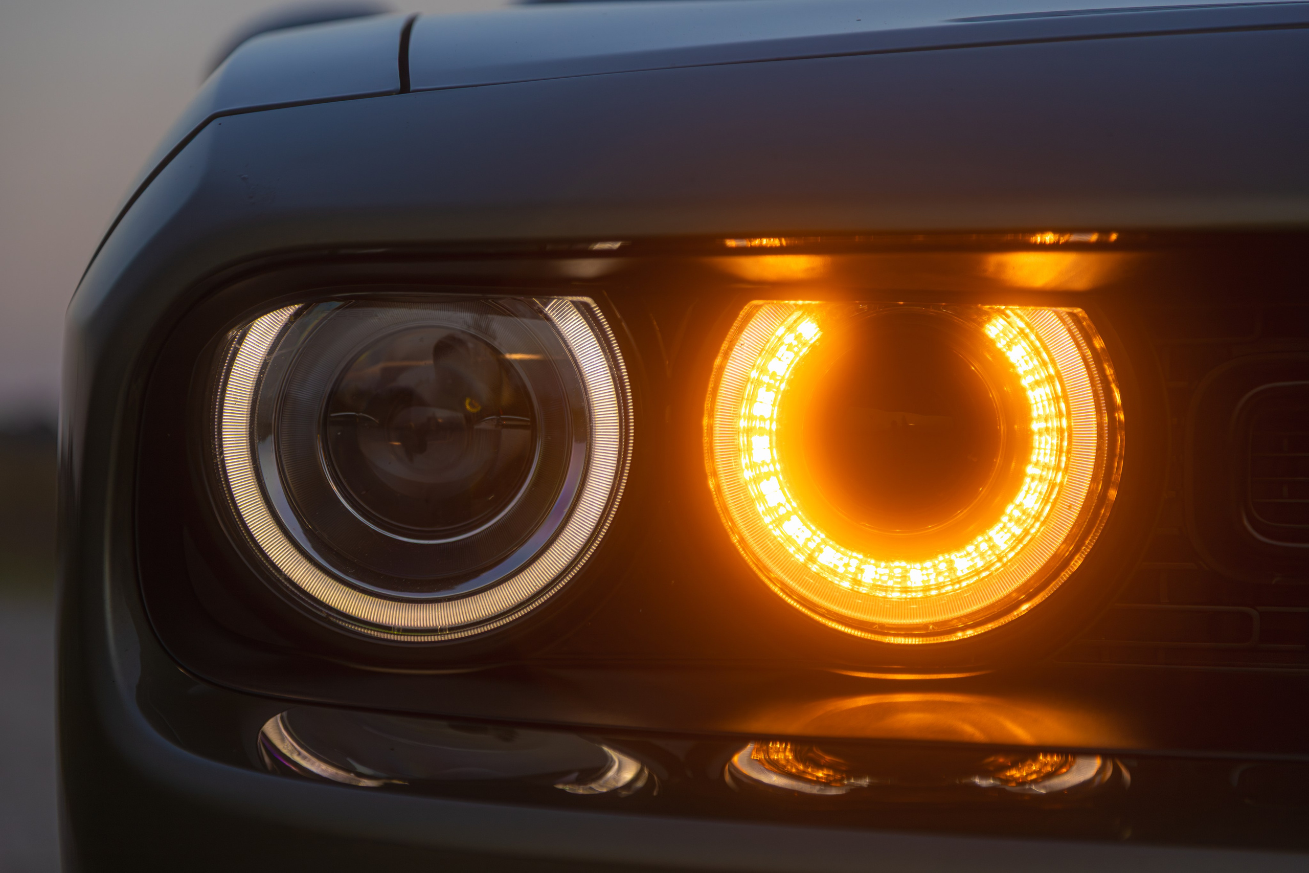 Partner Rent — Dodge Challenger. — Digital Noise —