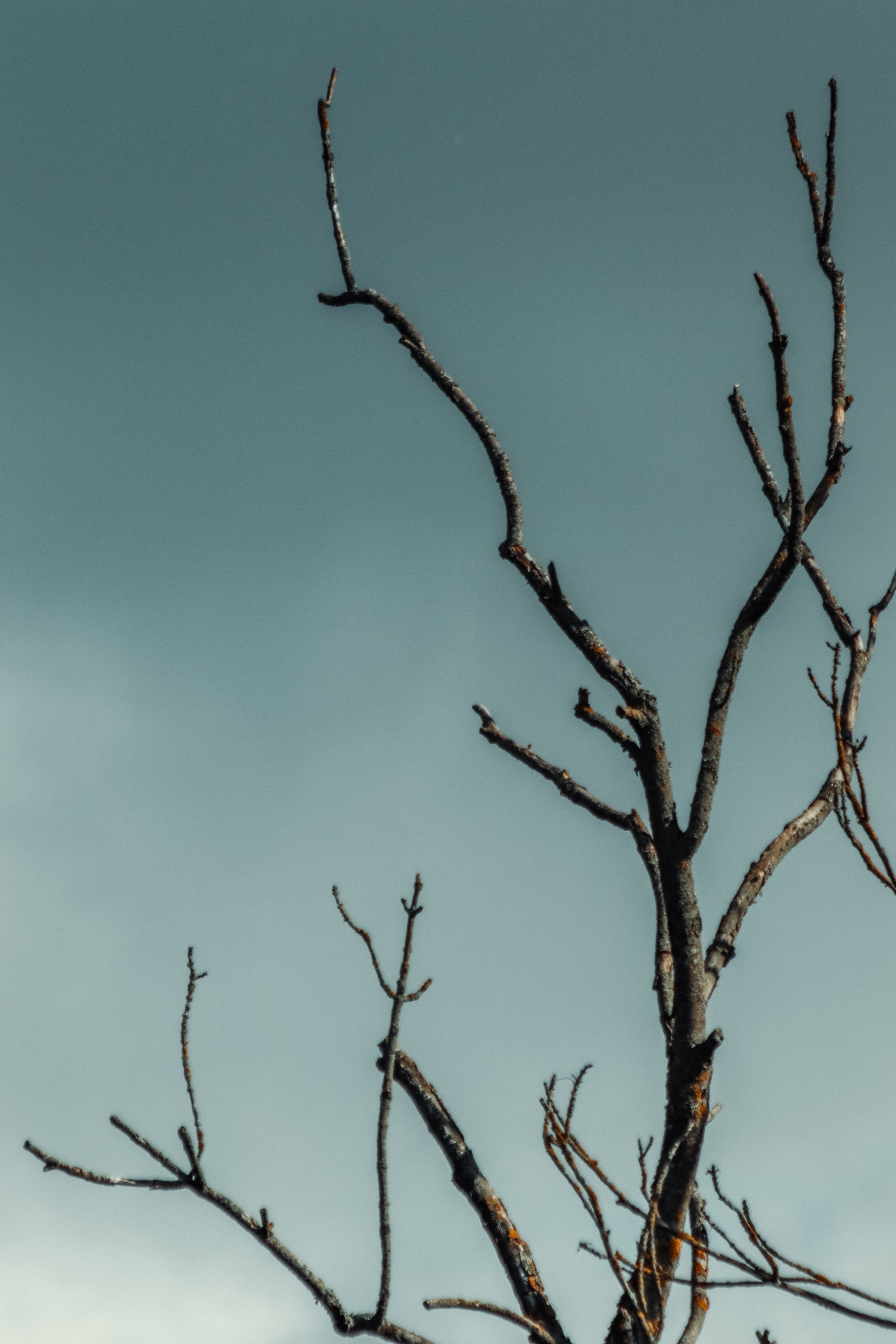 М И Н И М А Л И З М. — Digital Noise —