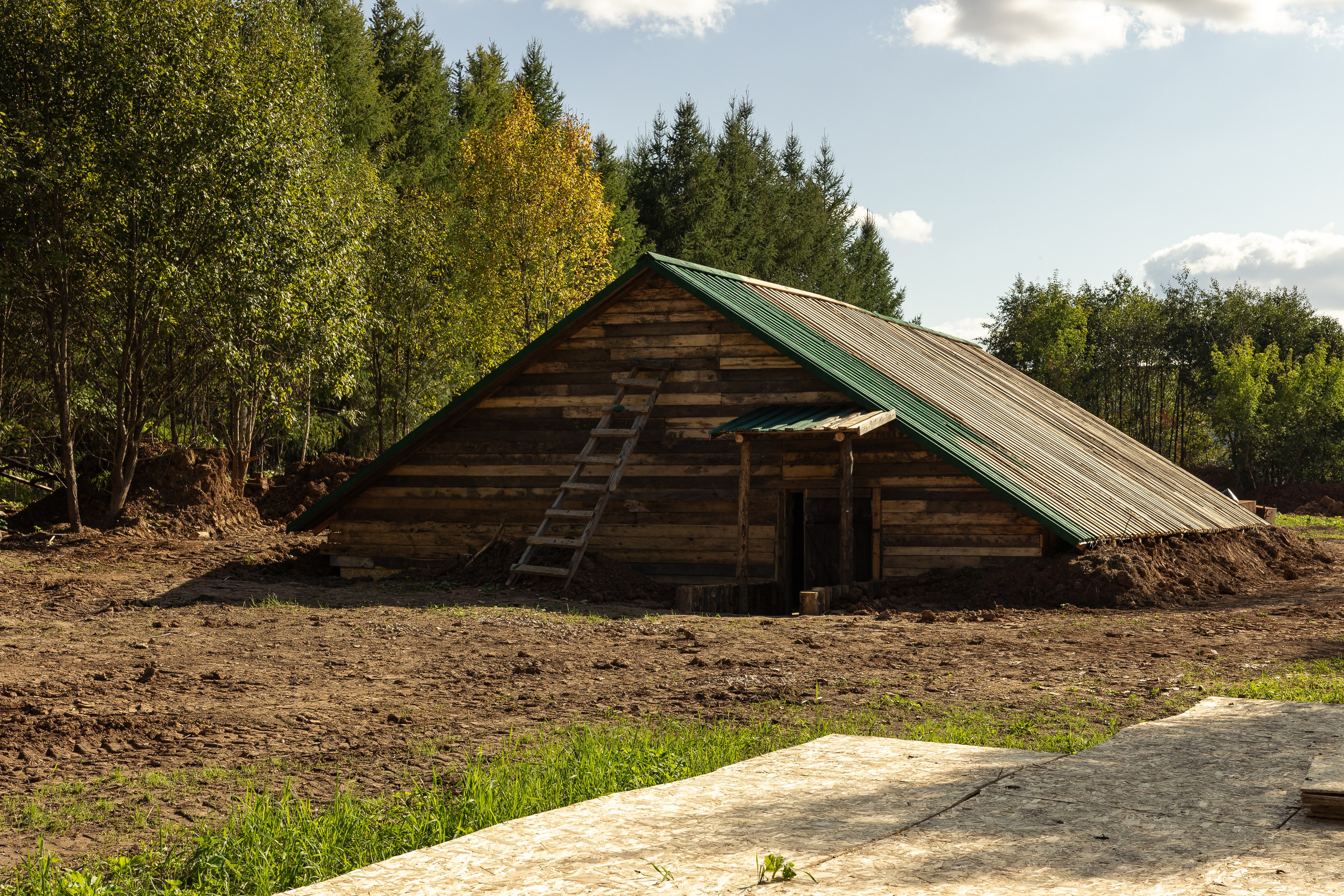 Кинопарк «Москино». Лисенкова Алиса — Фотограф, видеомейкер. Москва