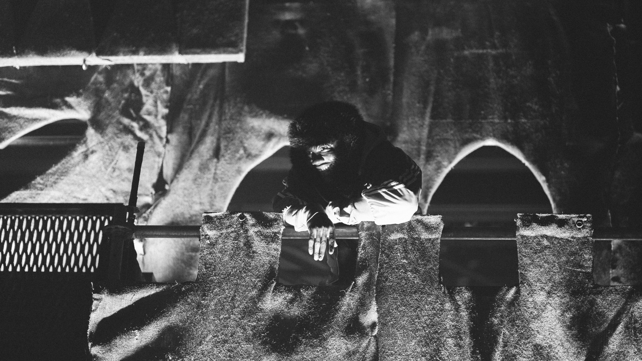 Хаски’25 «Партизан» Saint-Petersburg. RUSLAN ROZANOV