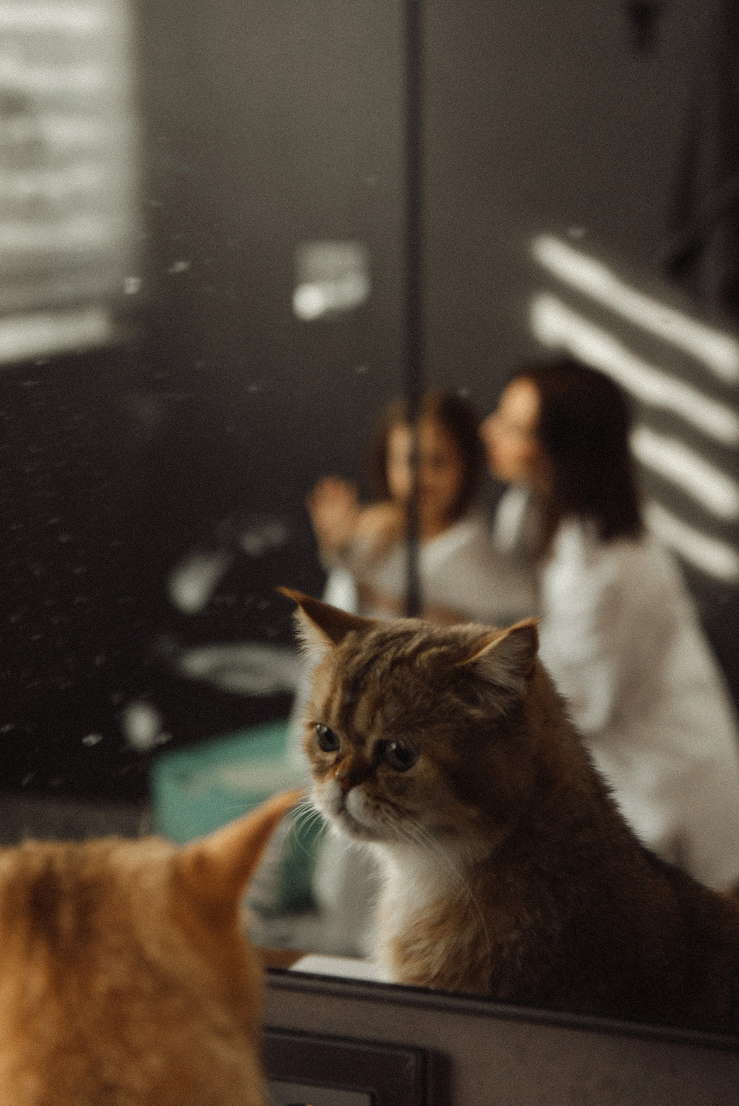 Юля, Аня и хвостики. Свадебный, портретный, фотограф беременности в Нижнем Новгороде Алина Зиновьева