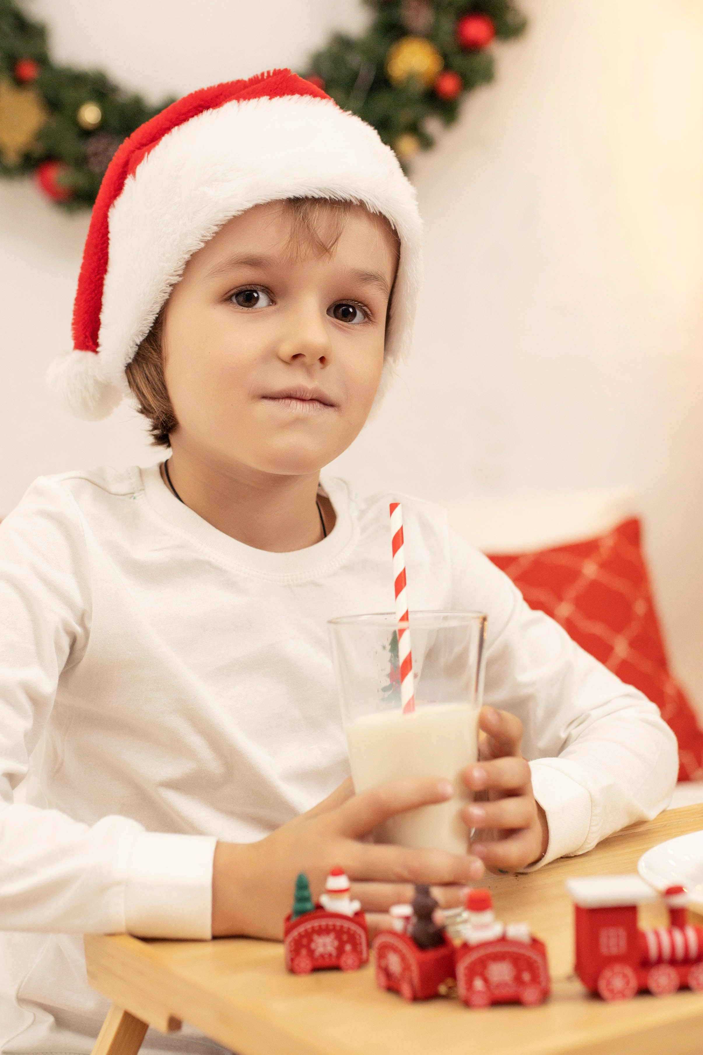 Никита и Федор (новогоднее). Фотограф