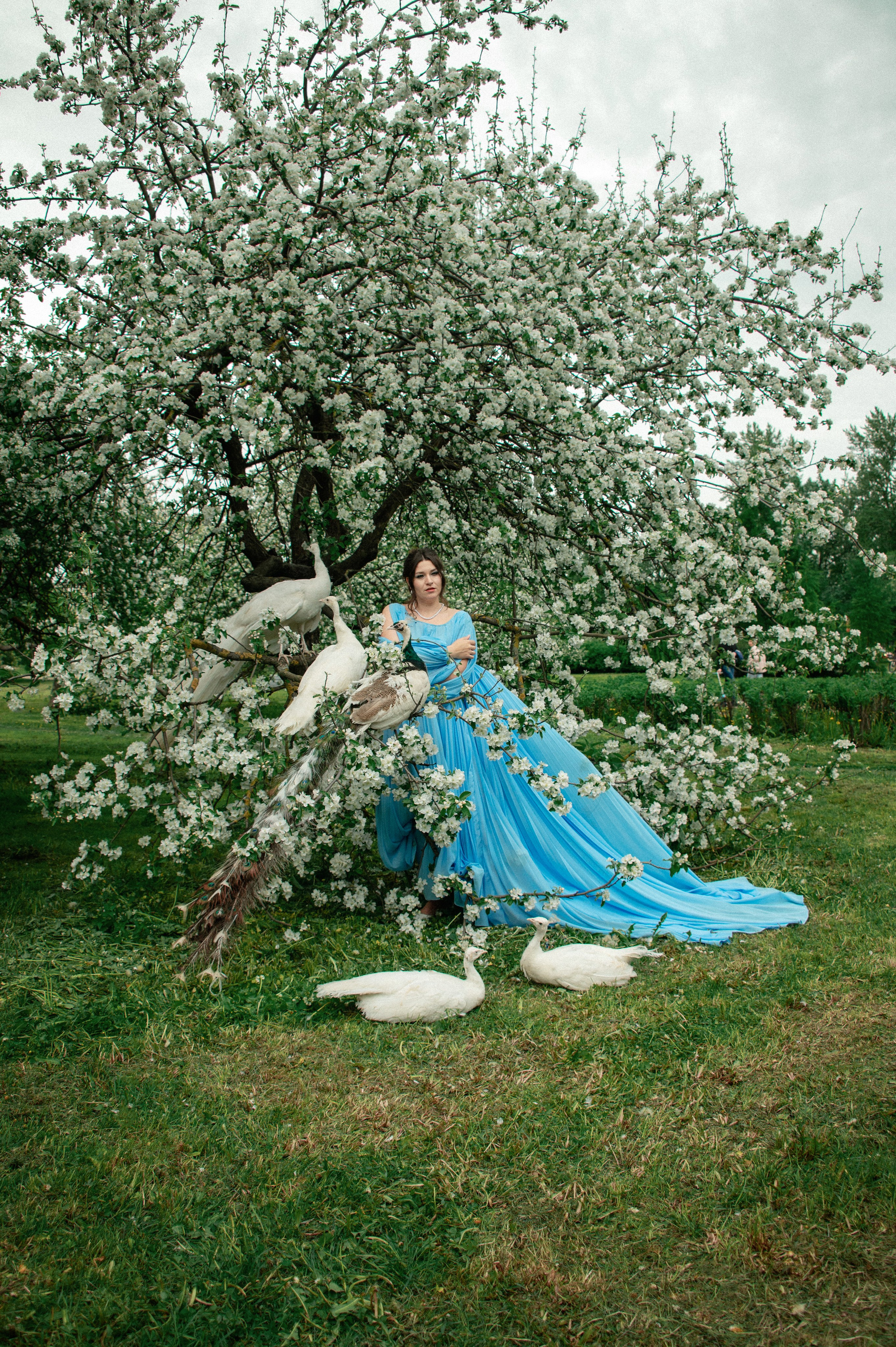 Алена. Съемка с павлинами. Фотограф в Санкт-Петербурге Ковалева Елизавета