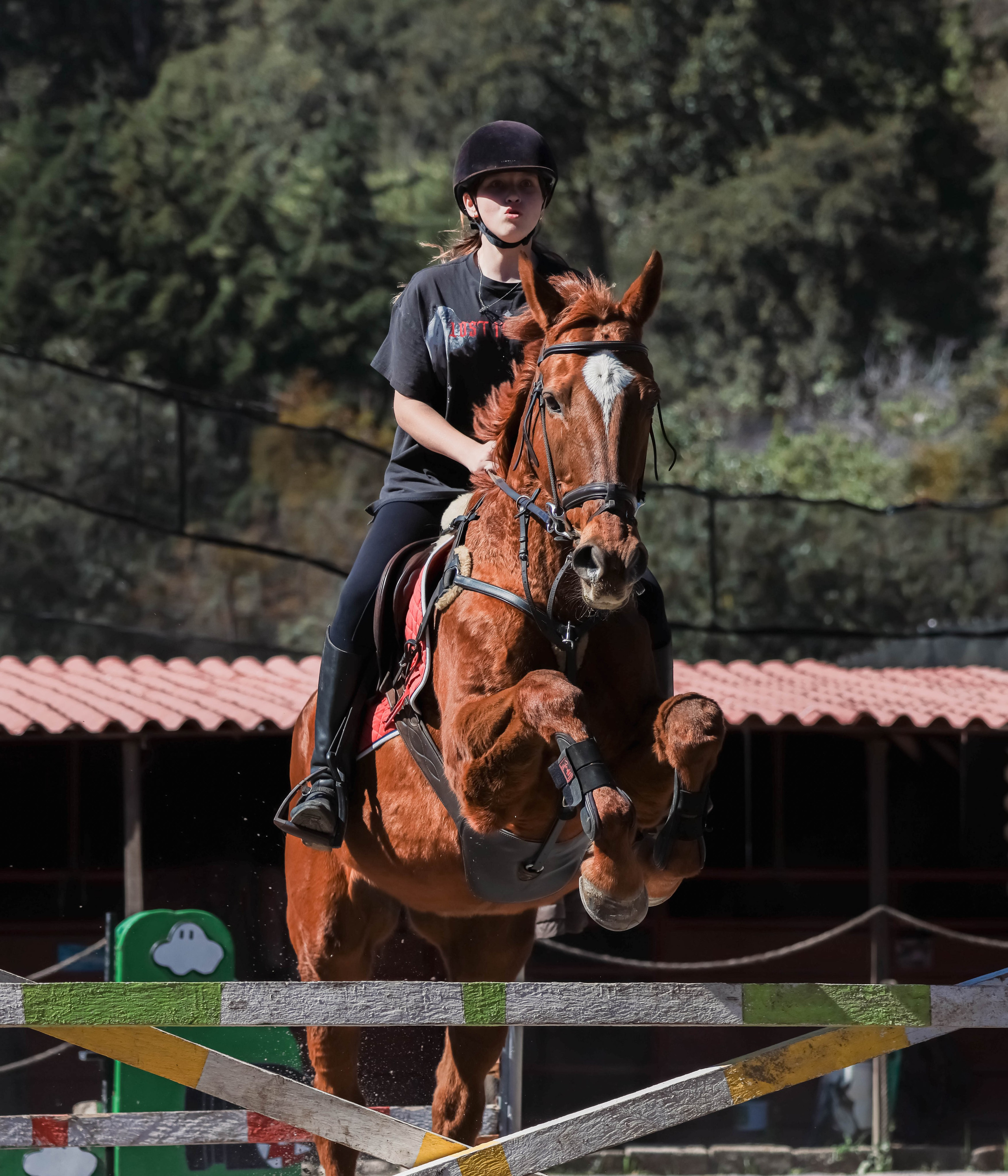 Лошади. Kateserbina