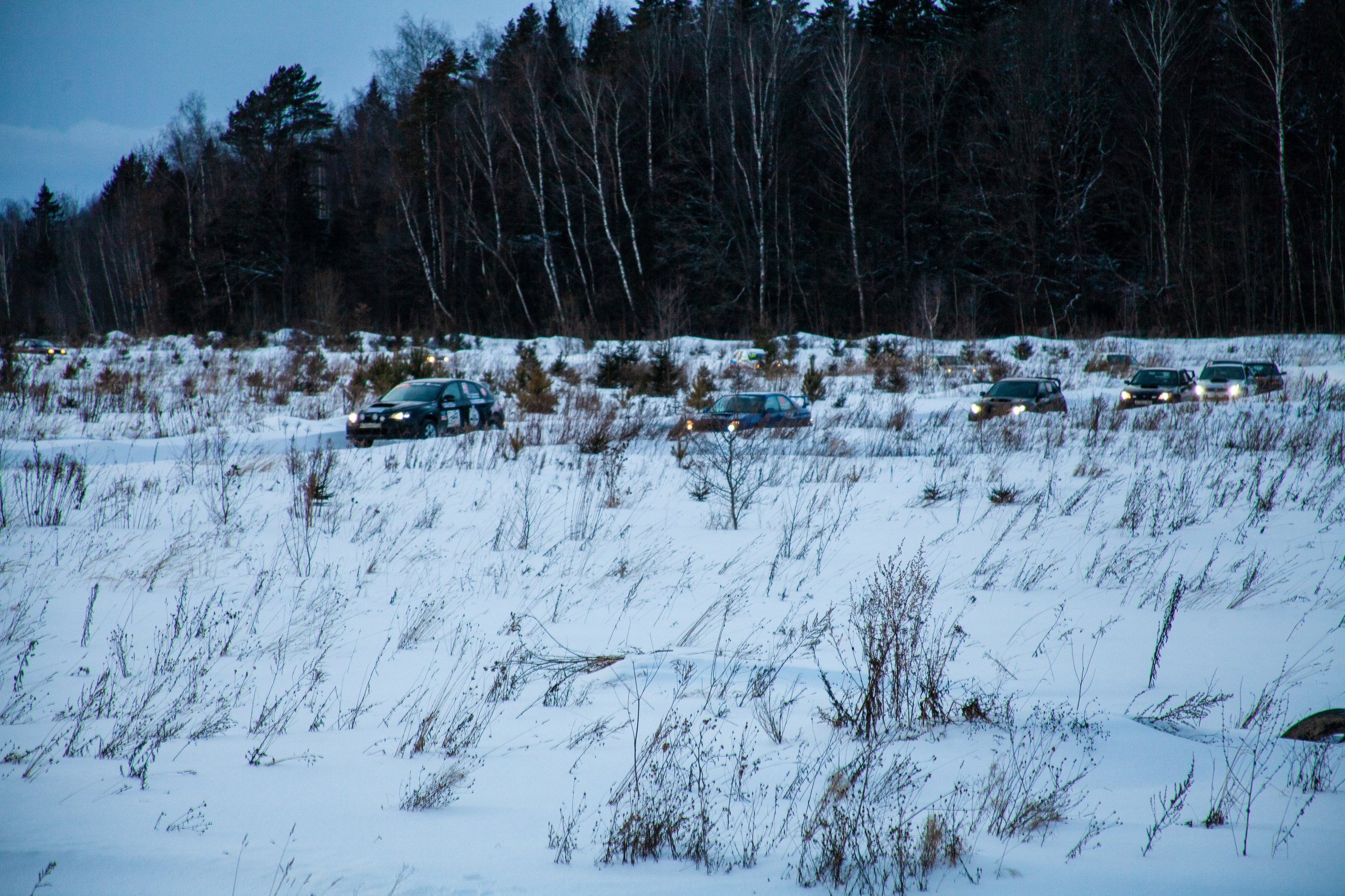 RSE Тропикана 2021. Мультижанровый фотограф в Москве Наталия Степанова