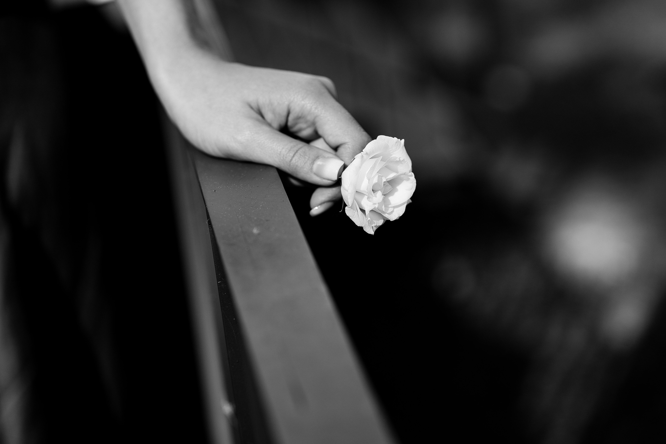 София и Даниил. Главная