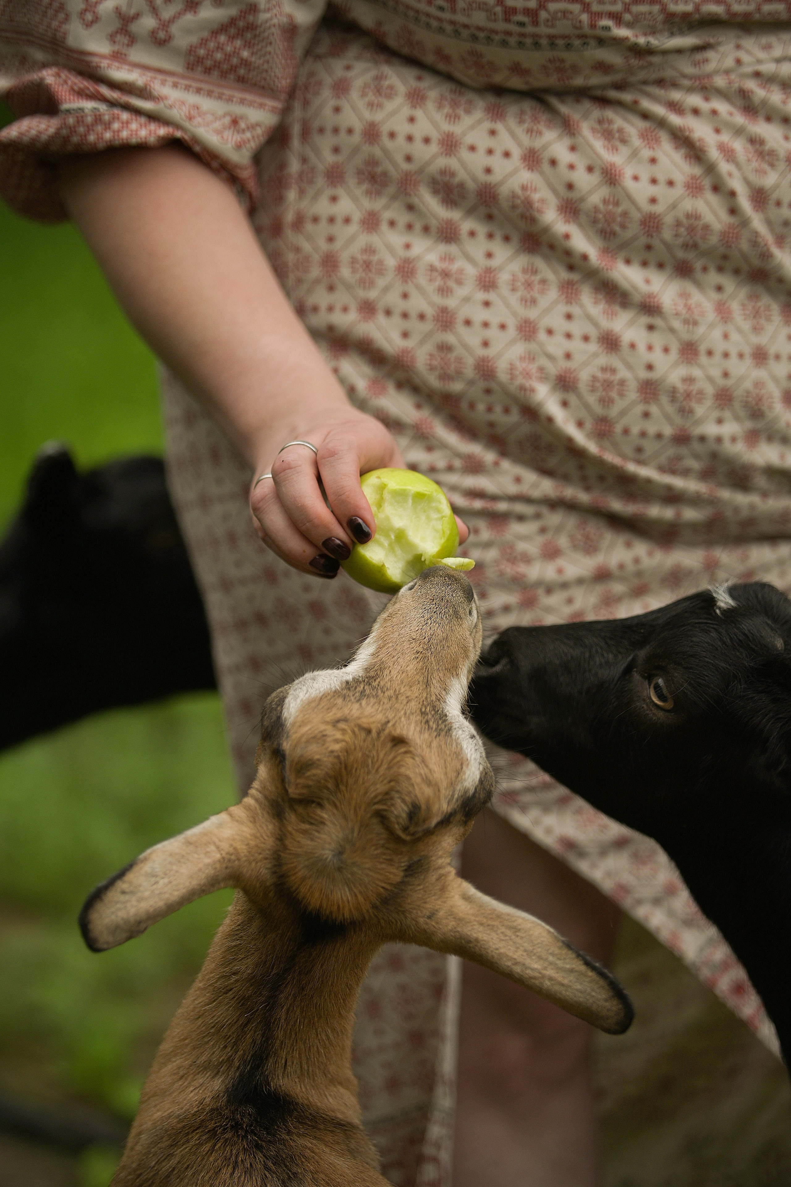 Льняная свадьба. Творческий фотограф Вологда