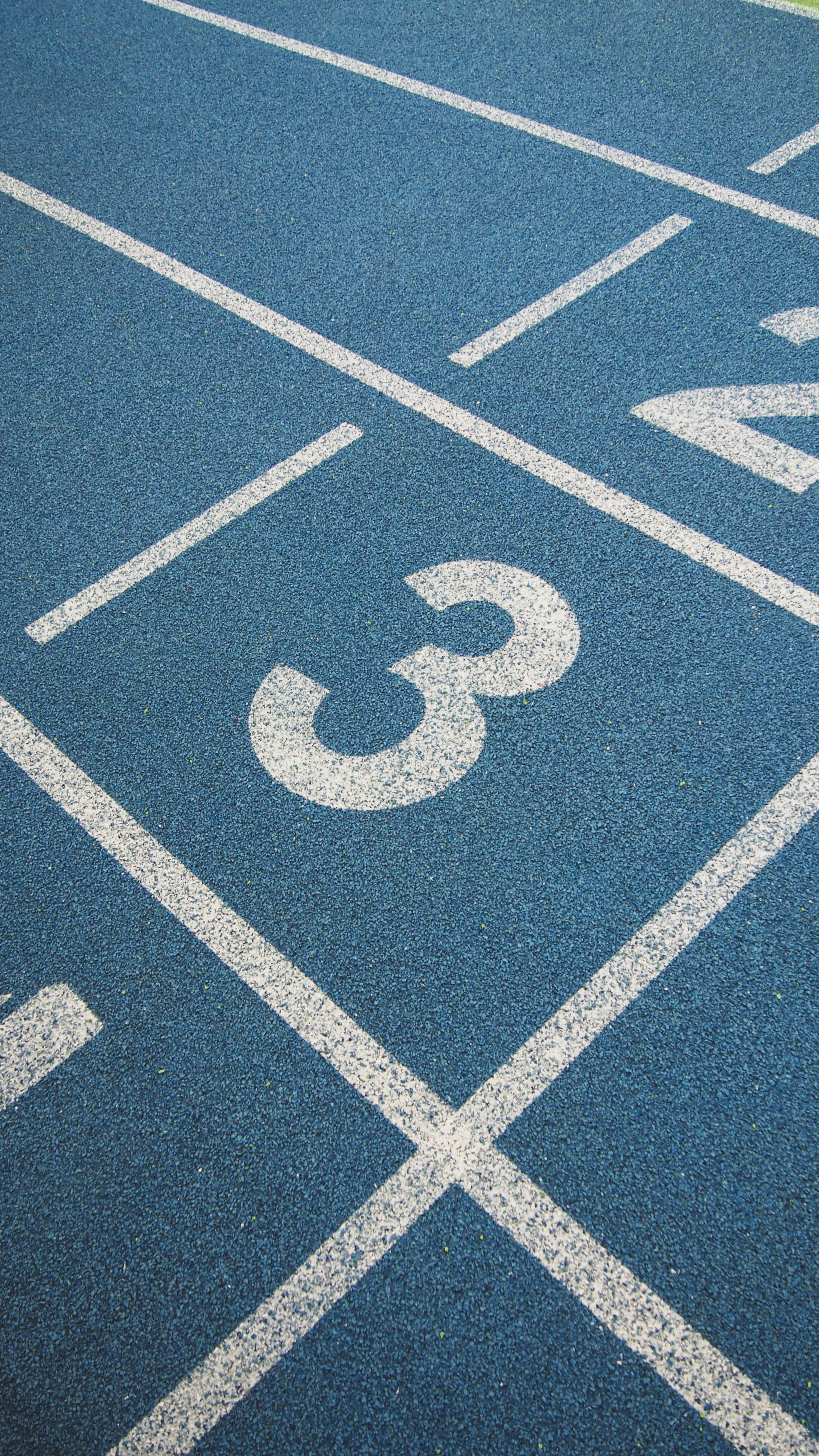 Манеж Луч. Recro