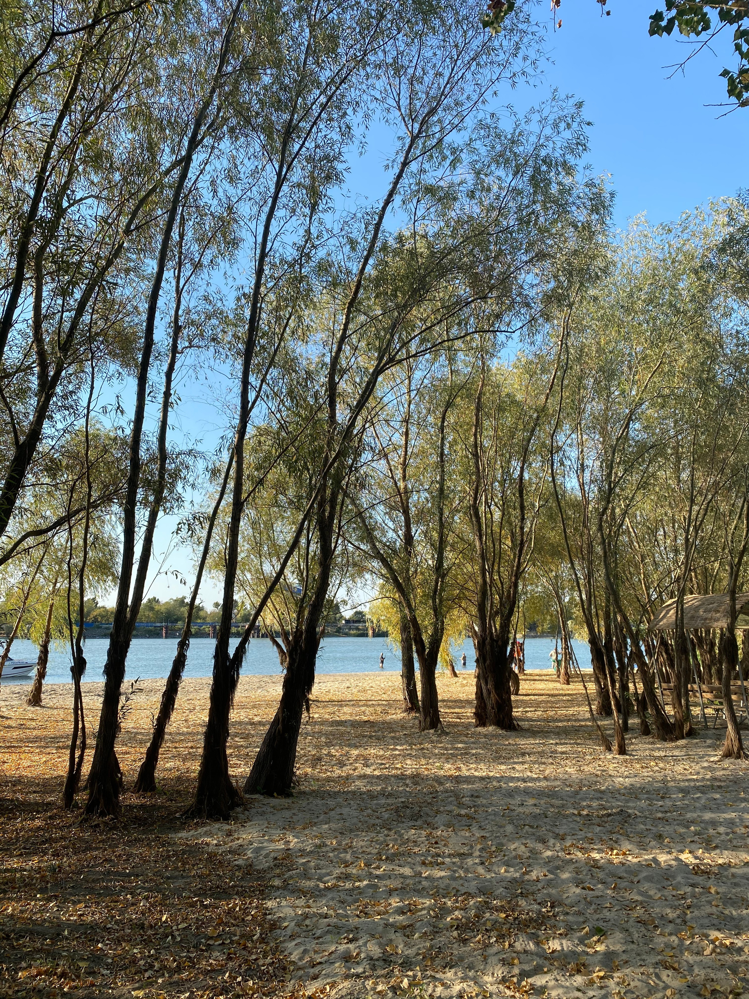 АбунаФест, Камышовый Рай — 20. Своя Мастерская