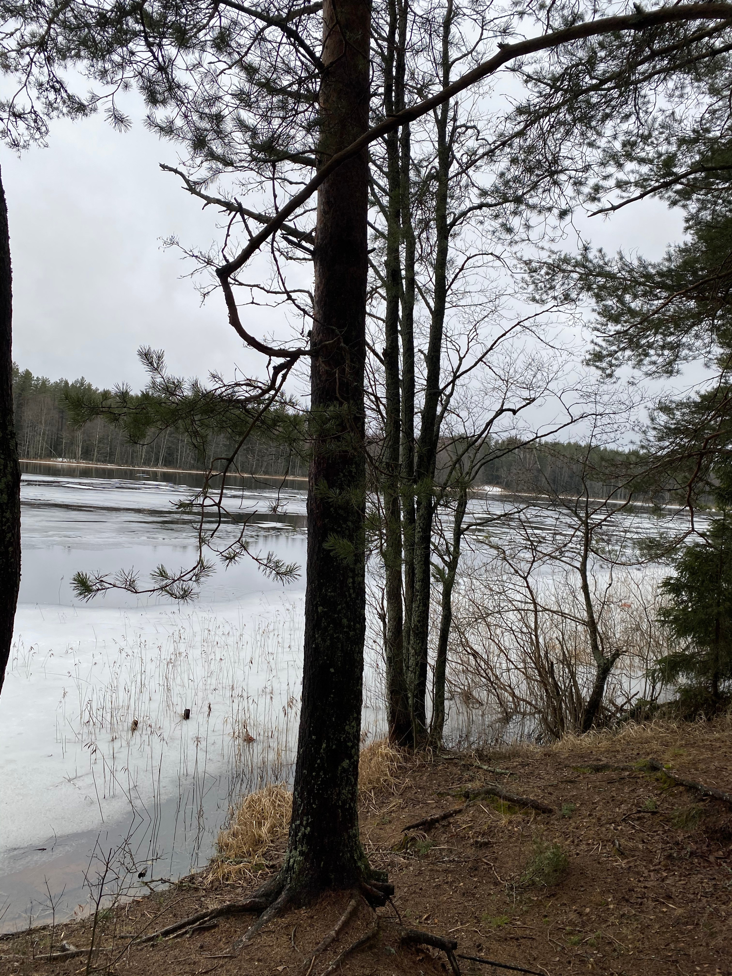 Вокруг Селигера-20. Своя Мастерская