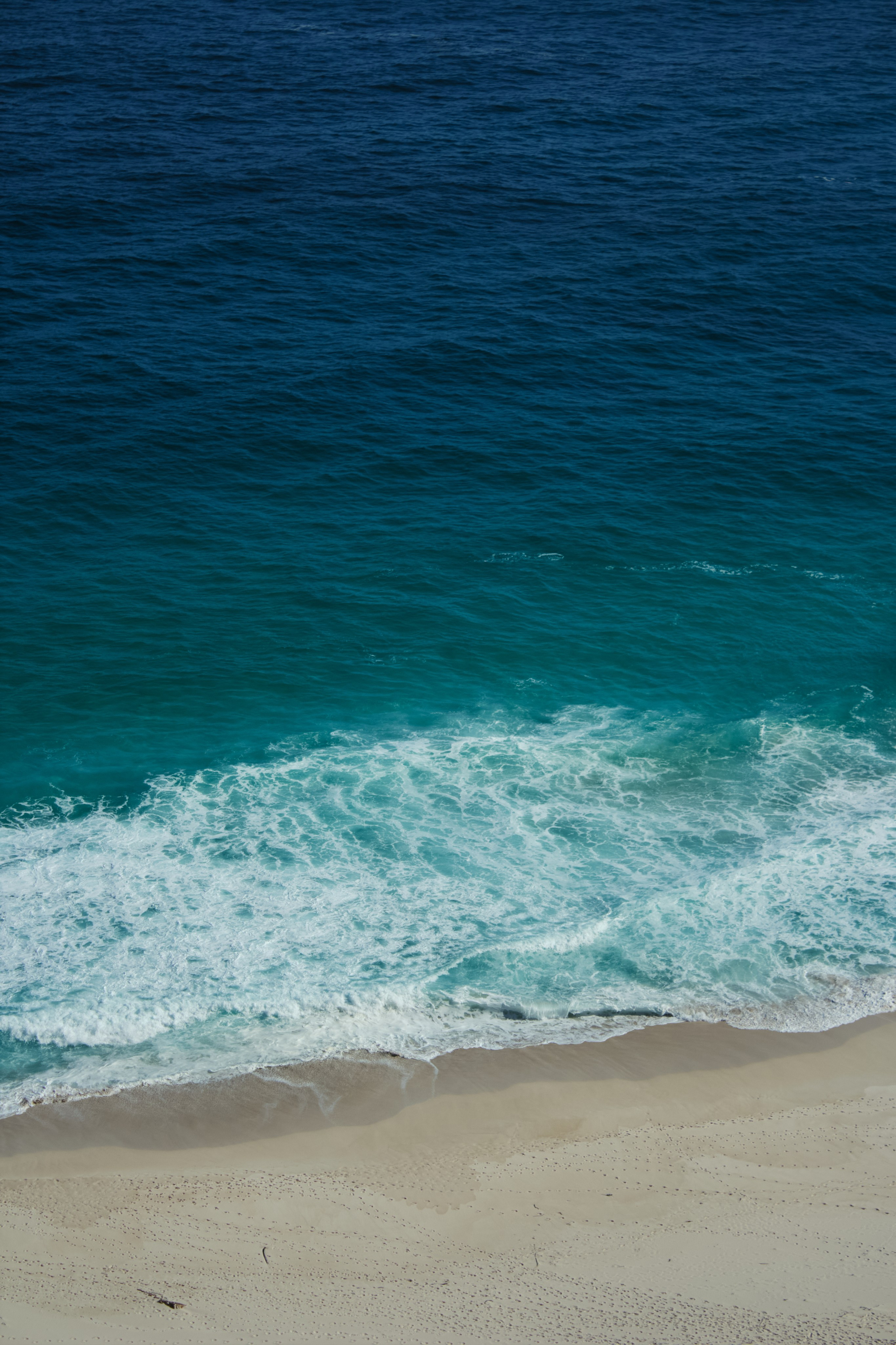 ЮАР. Профессиональный Фотограф во Владимире, в Москве и в Суздале — Полина Романычева
