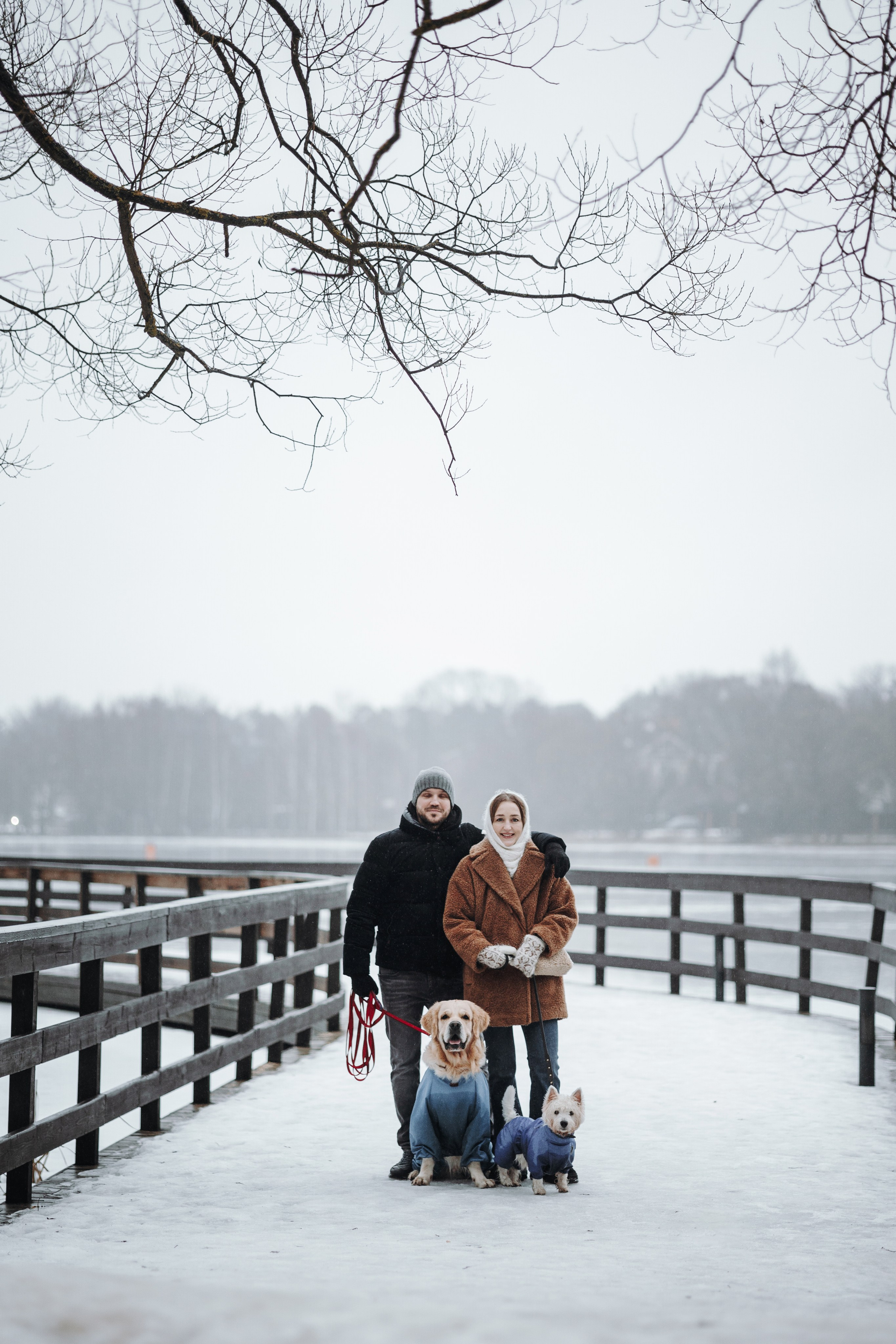 Шелби, Ватсон и ребята. Фотограф — Анималист | Санкт-Петербург