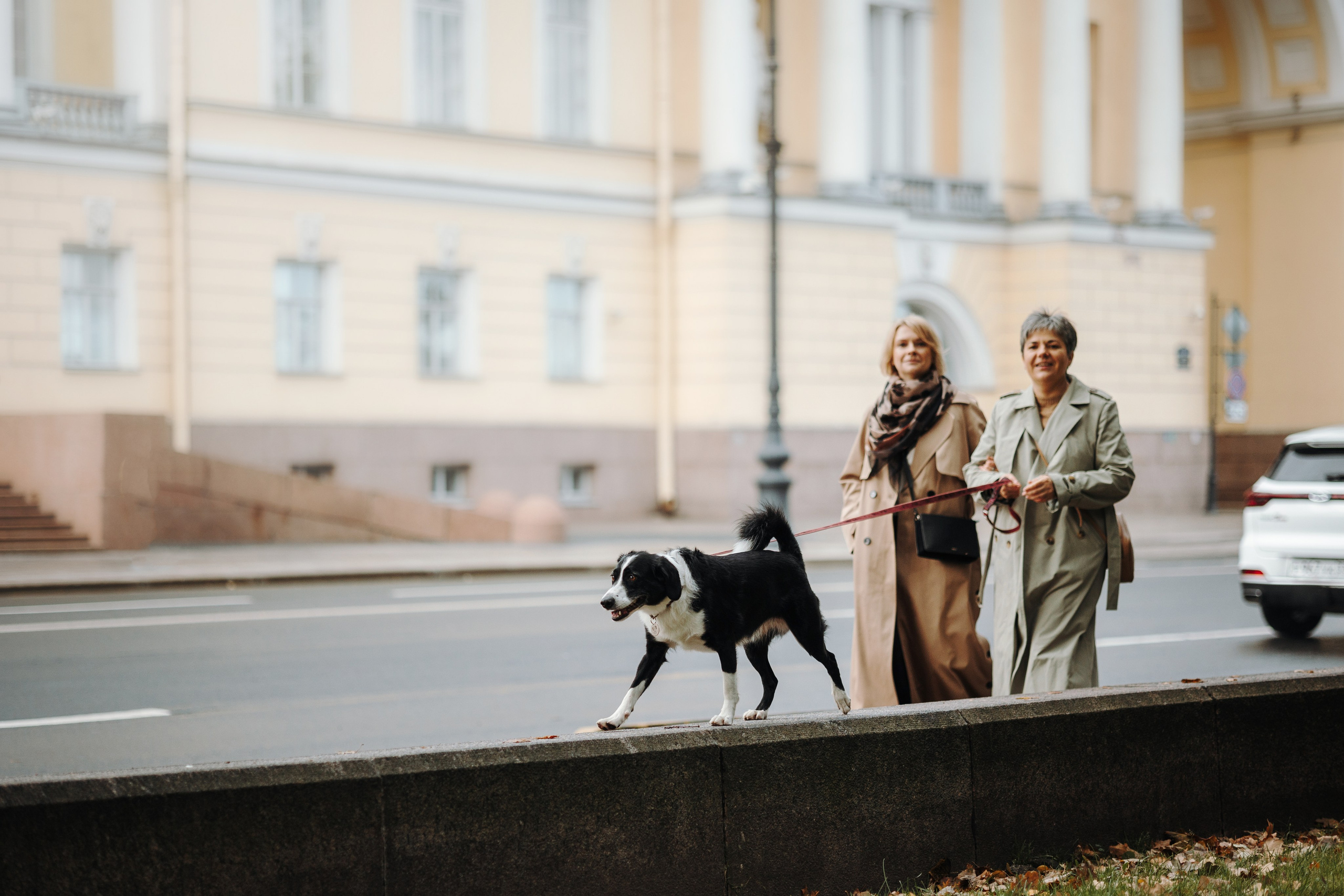 Мишель и ее семья. Фотограф — Анималист | Санкт-Петербург
