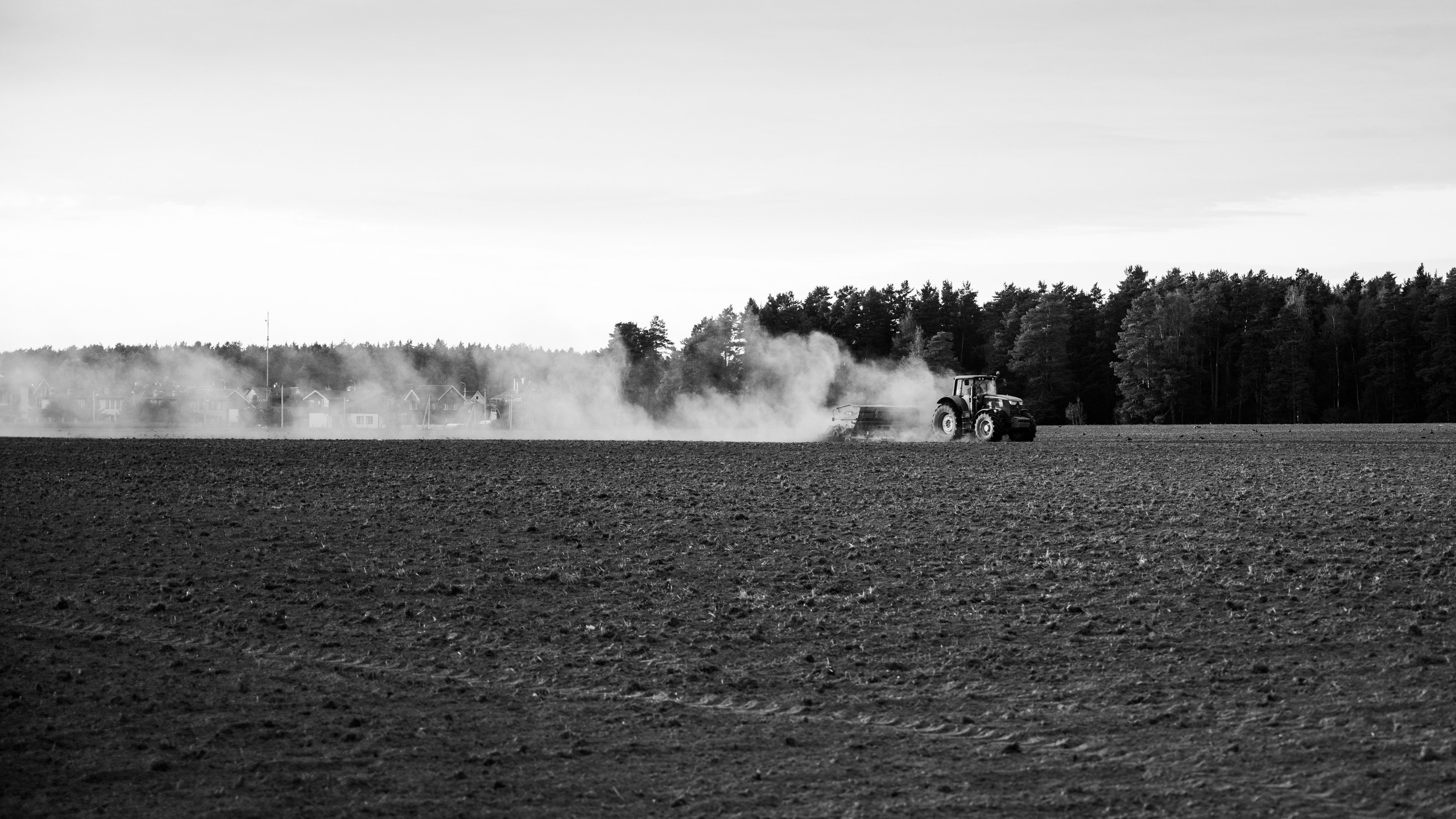 Черноголовка. Портретный фотограф в Москве — Иван Саяпин