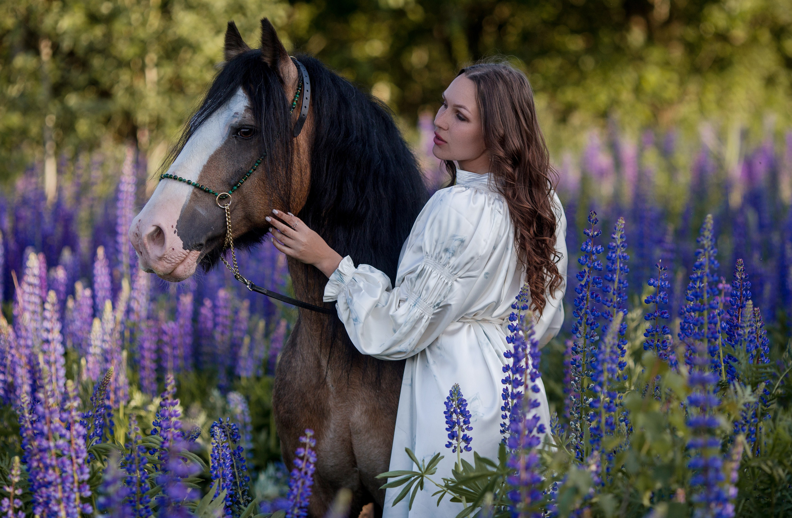 Фотосессия в люпинах с лошадью
