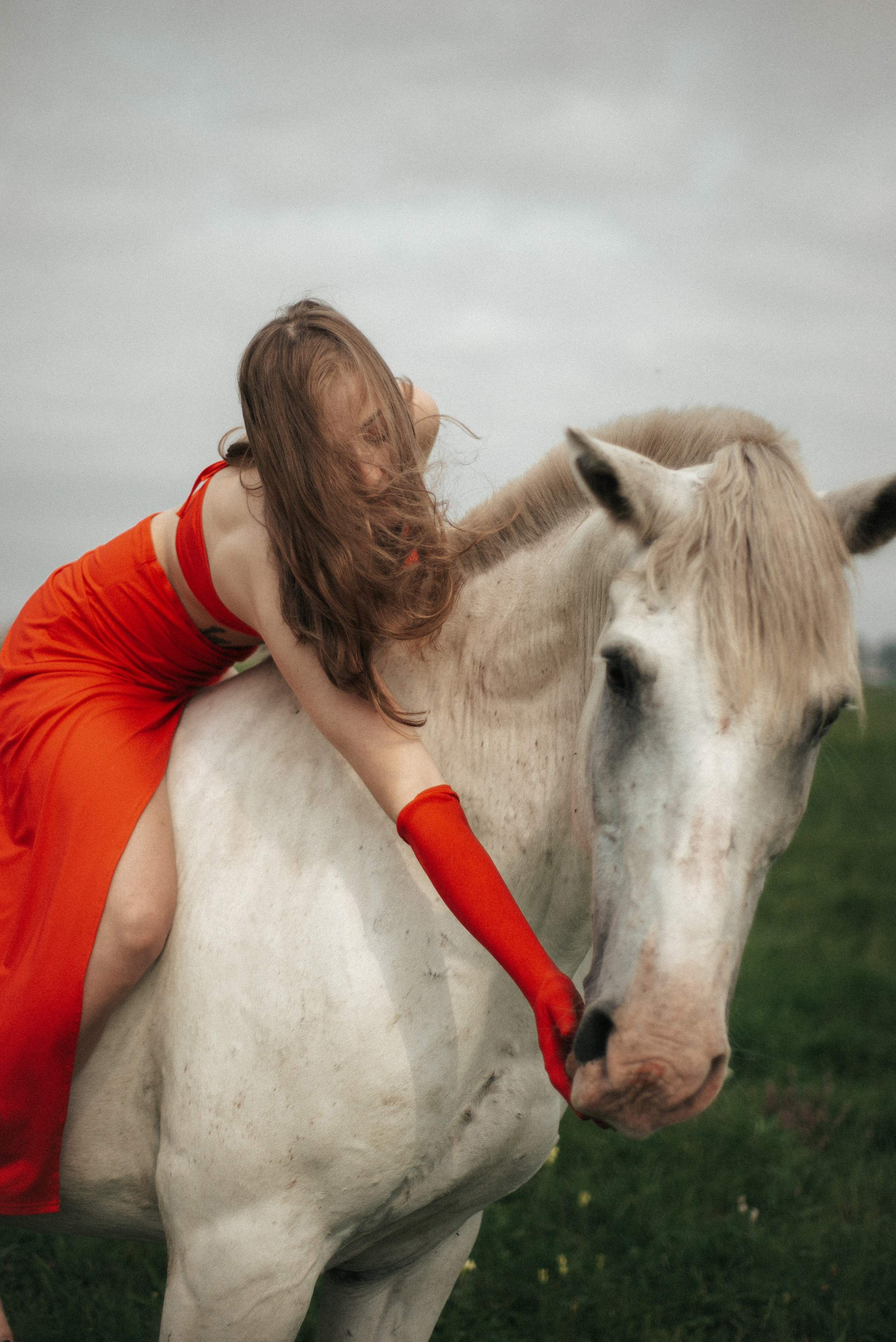 Horse. Фотограф