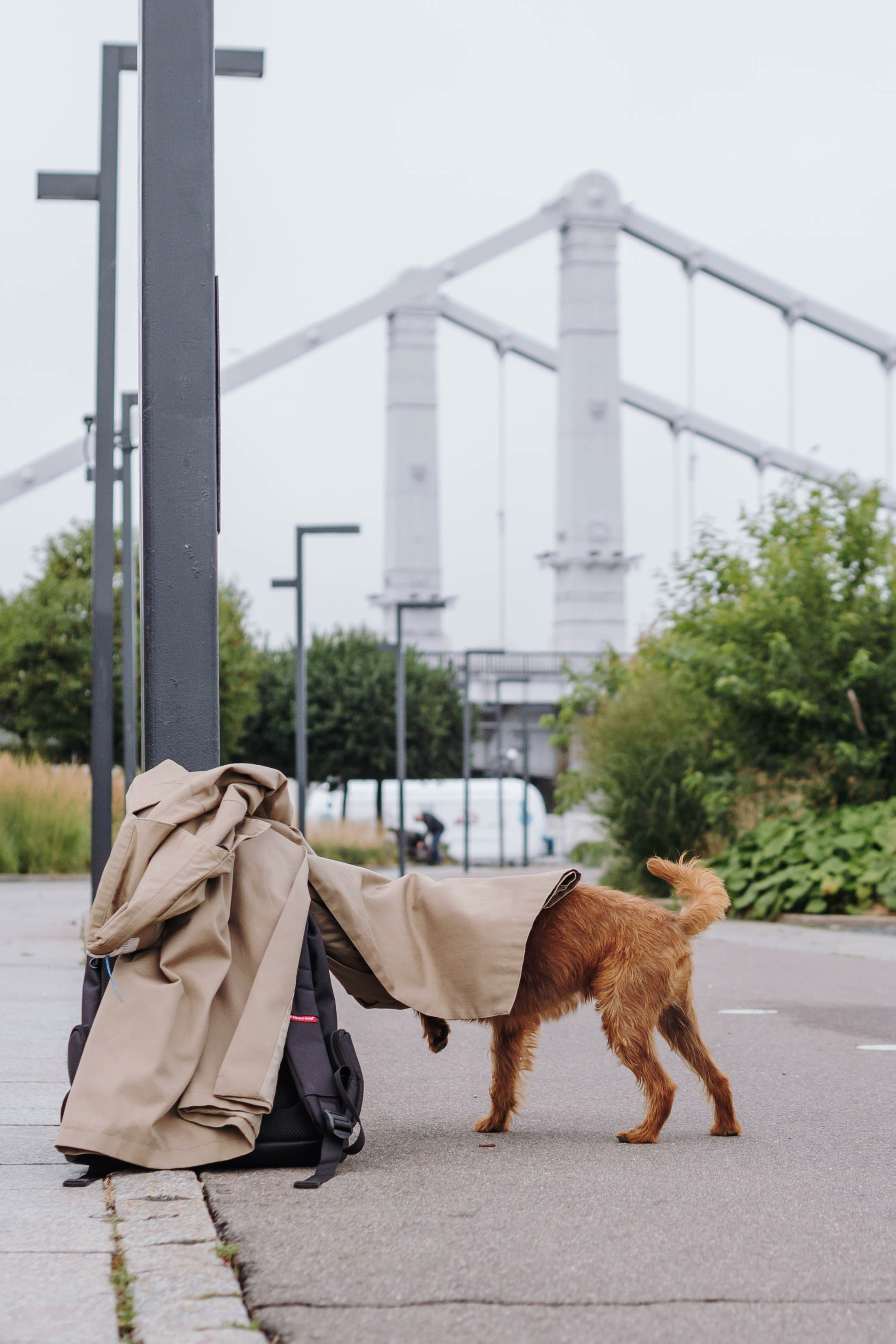 Наташа, Сережа и Хавьер. Фотограф-анималист Ксения Воробьева, Москва