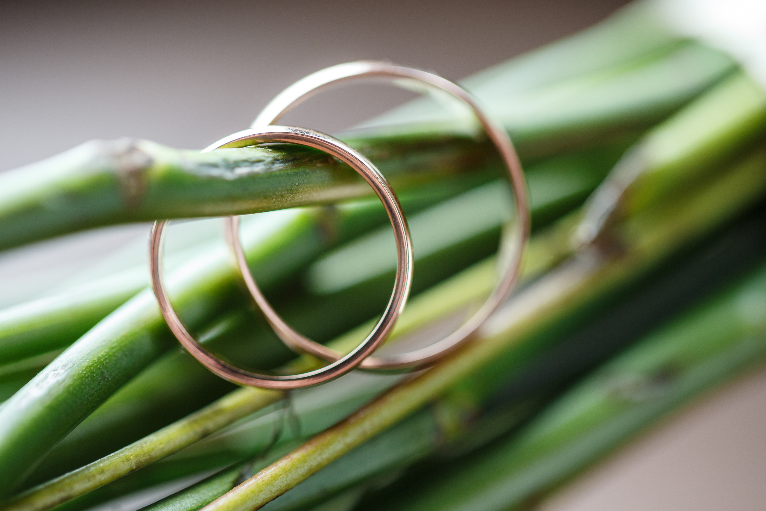 Сергей и Мария. Свадебный фотограф в Краснодаре Андрей Тюменев