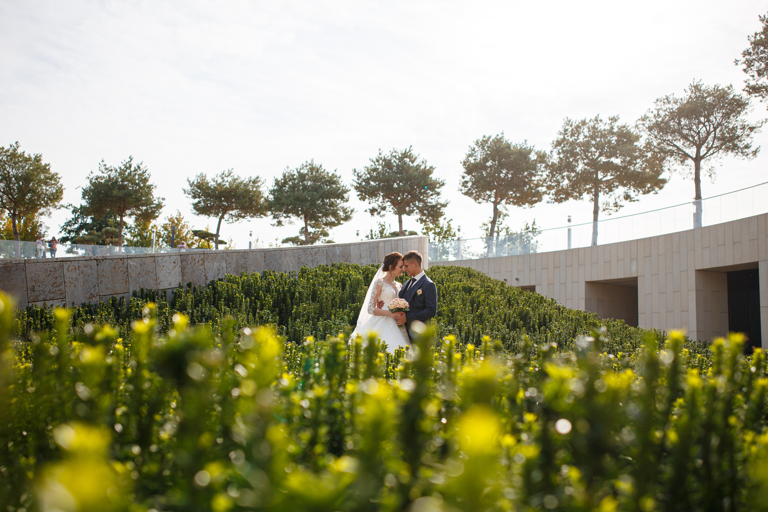 Дмитрий и Маргарита. Свадебный фотограф в Краснодаре Андрей Тюменев