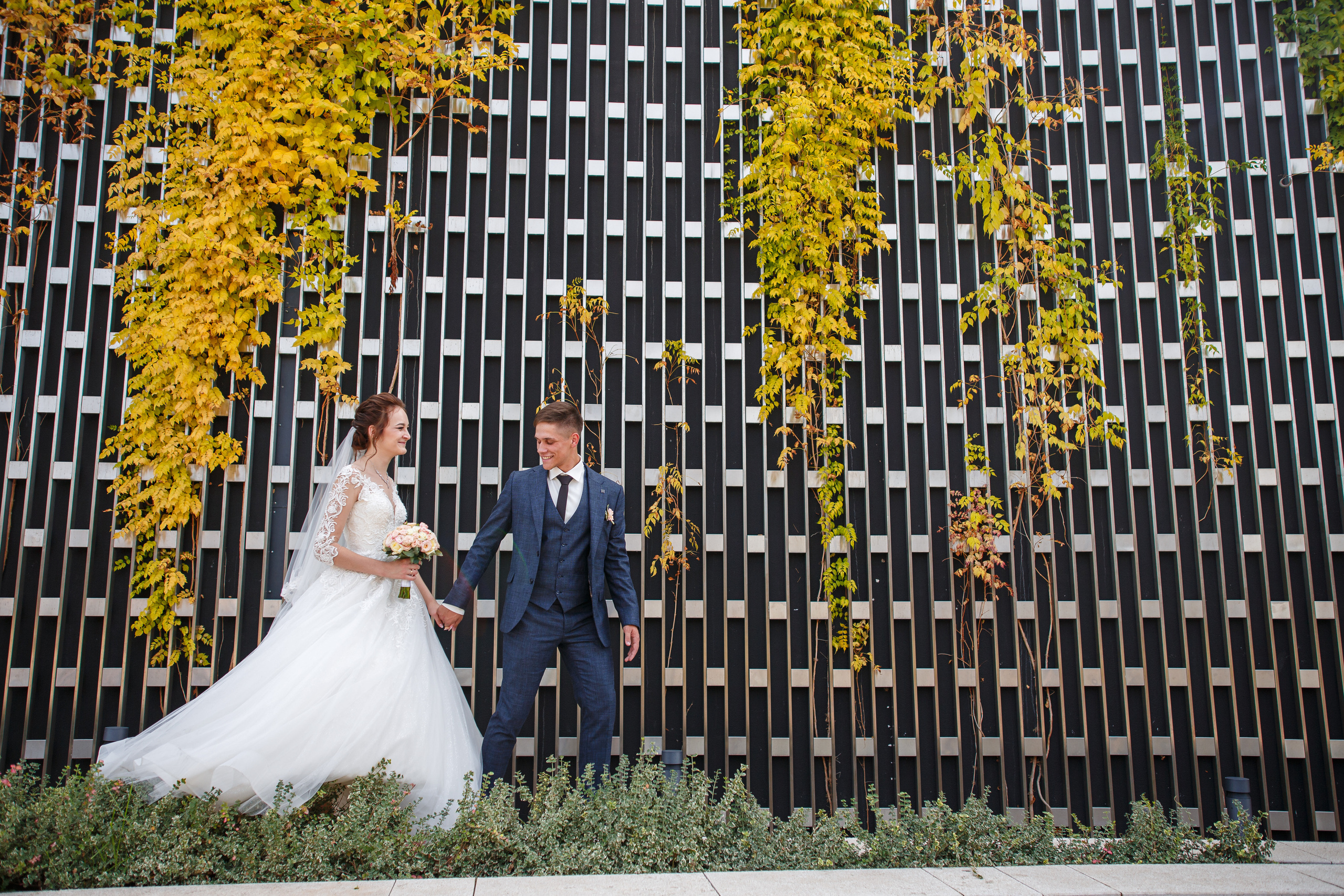 Дмитрий и Маргарита. Свадебный фотограф в Краснодаре Андрей Тюменев