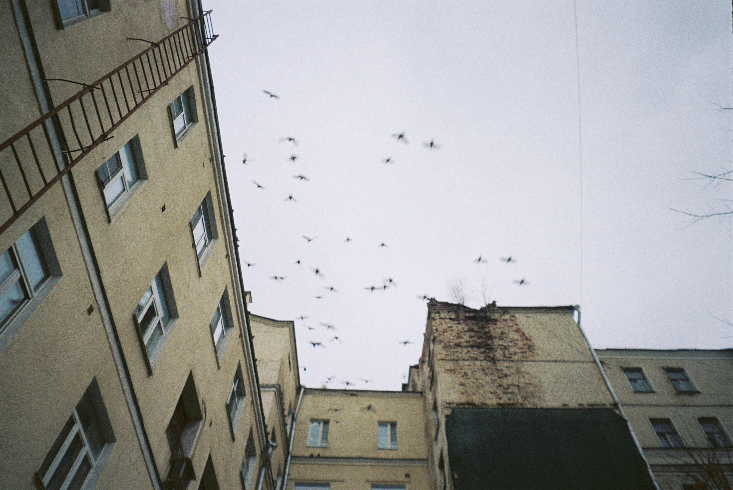 22/11/2025. Влада Касабова. Фотограф