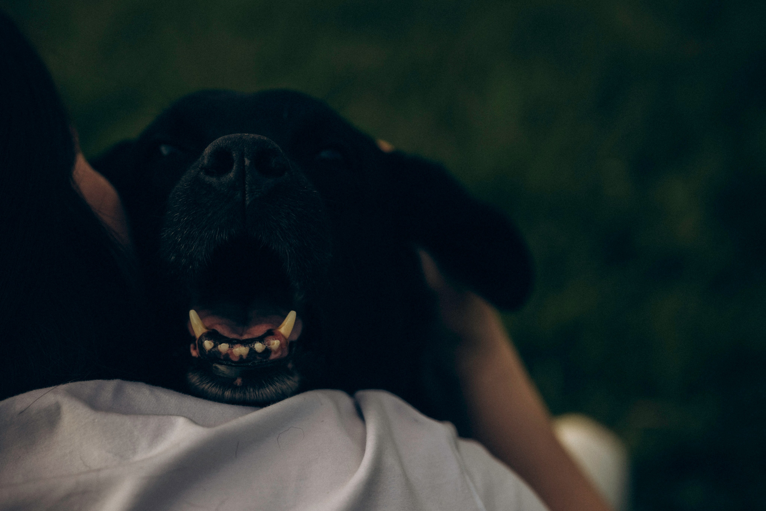 Юлия и Барселона. Татьяна Афонина | Фотограф