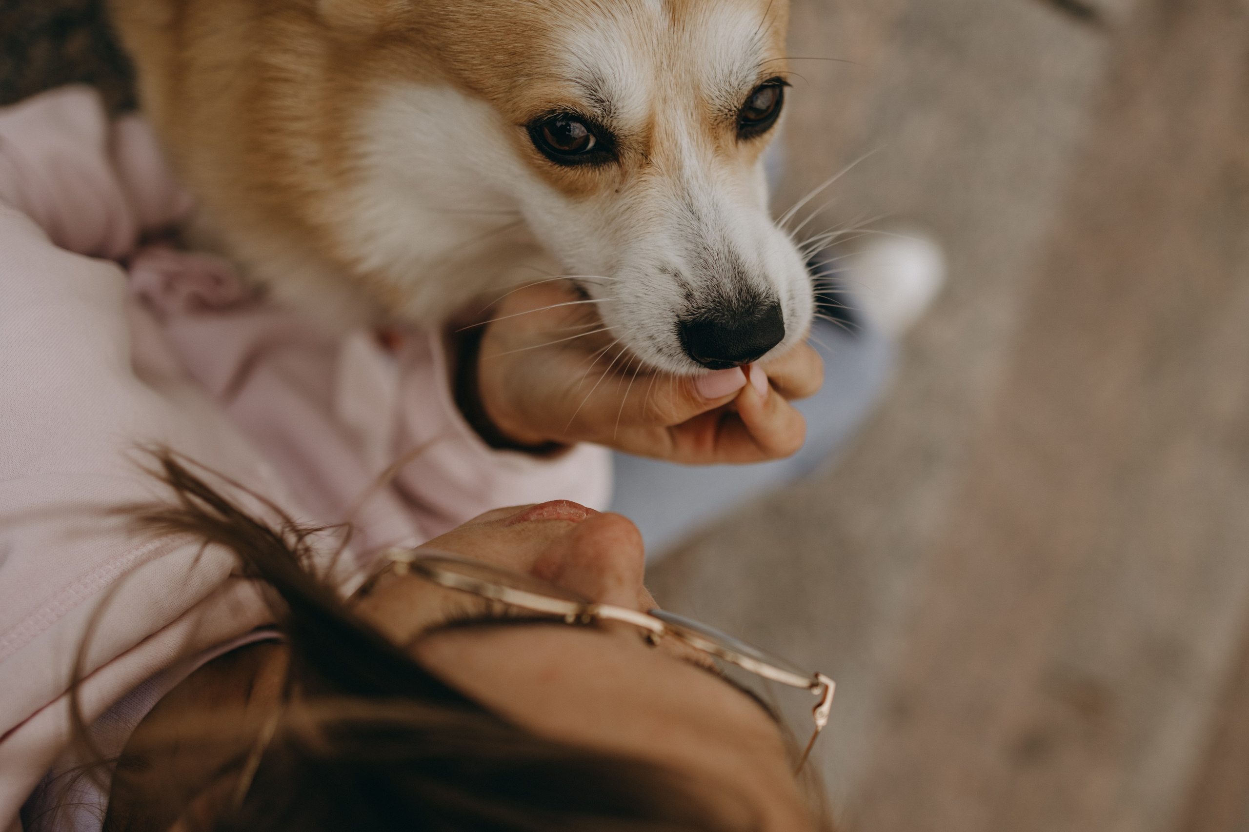 Лиза и Бакс. Фотограф — Анималист | Санкт-Петербург