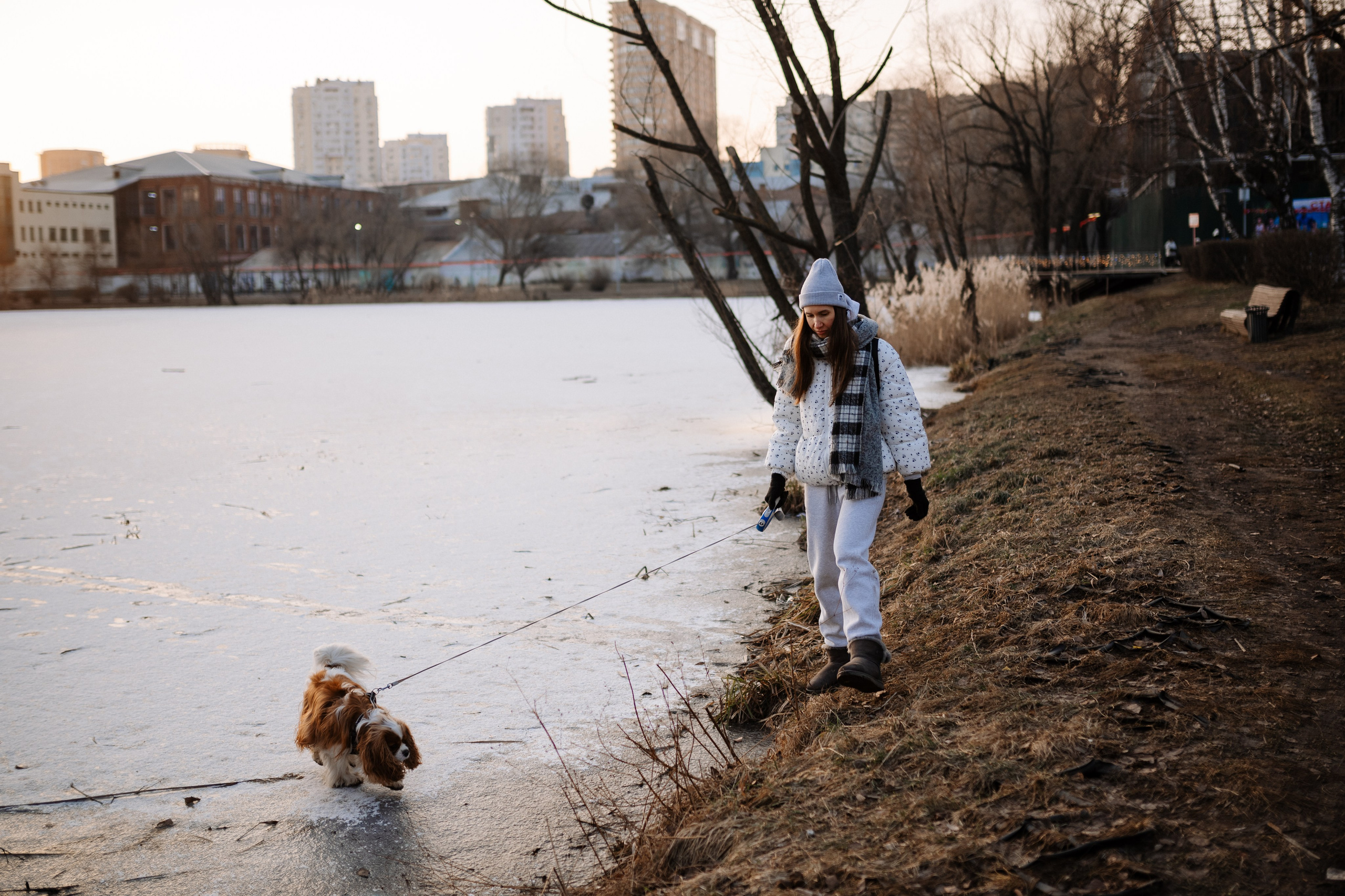Лена и Арчи. Фотограф анималист в Москве Ольга Агушева